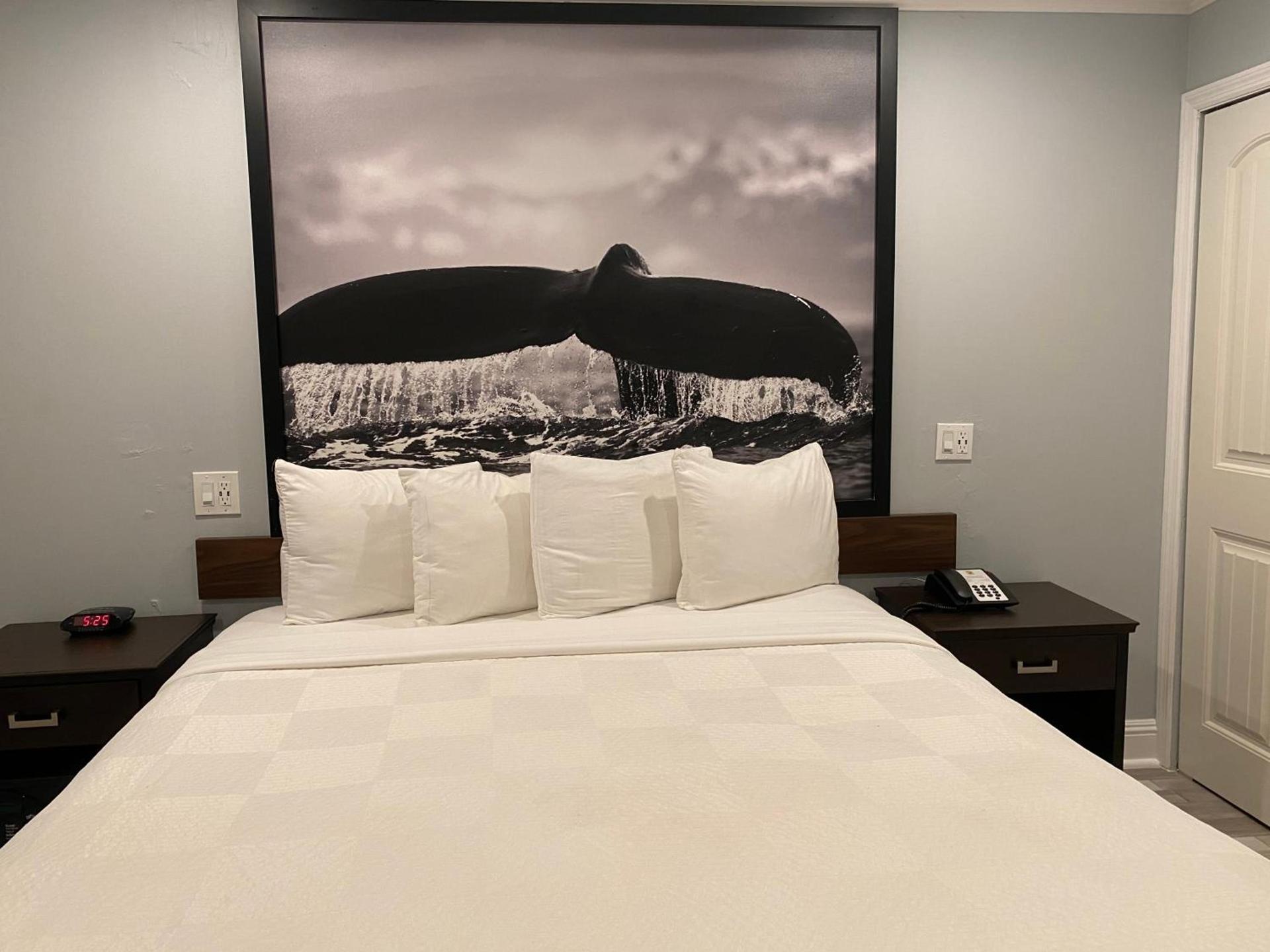 Aura Inn Monterey photo 65