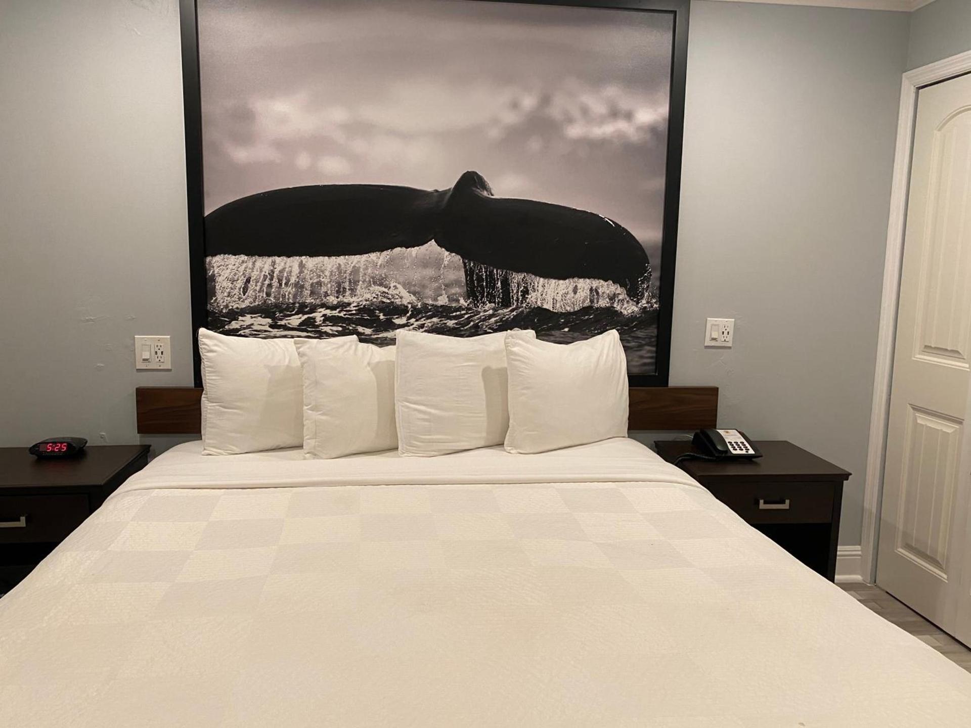 Aura Inn Monterey photo 66