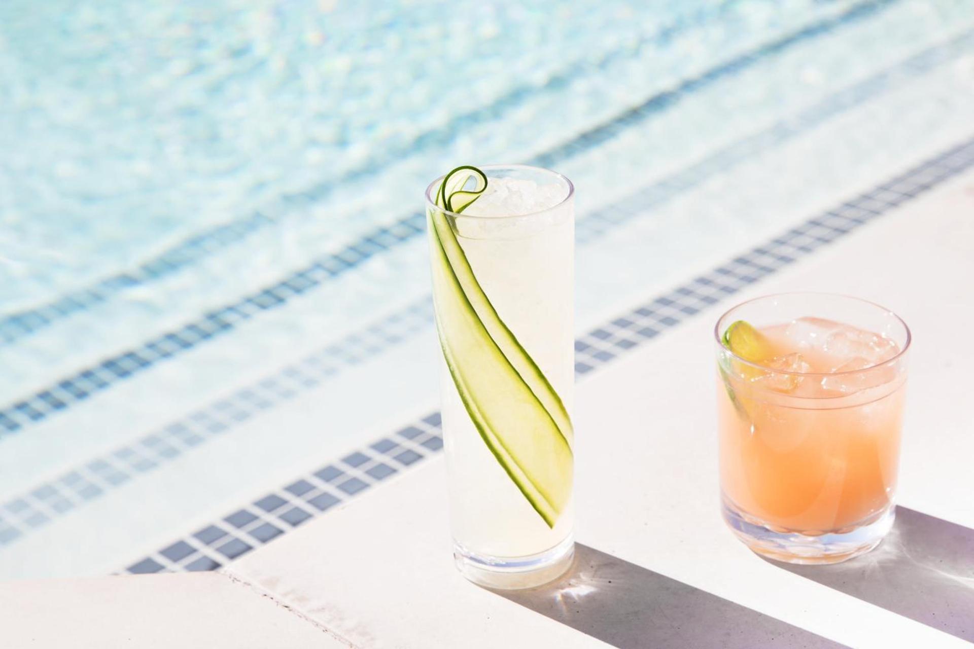 Kimpton Rowan Palm Springs Hotel by IHG photo 15