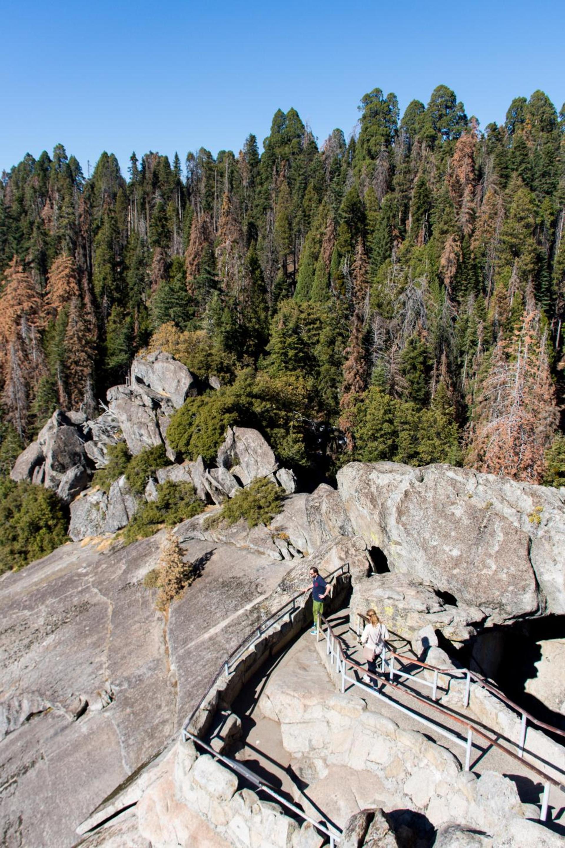 Sequoia Village photo 21
