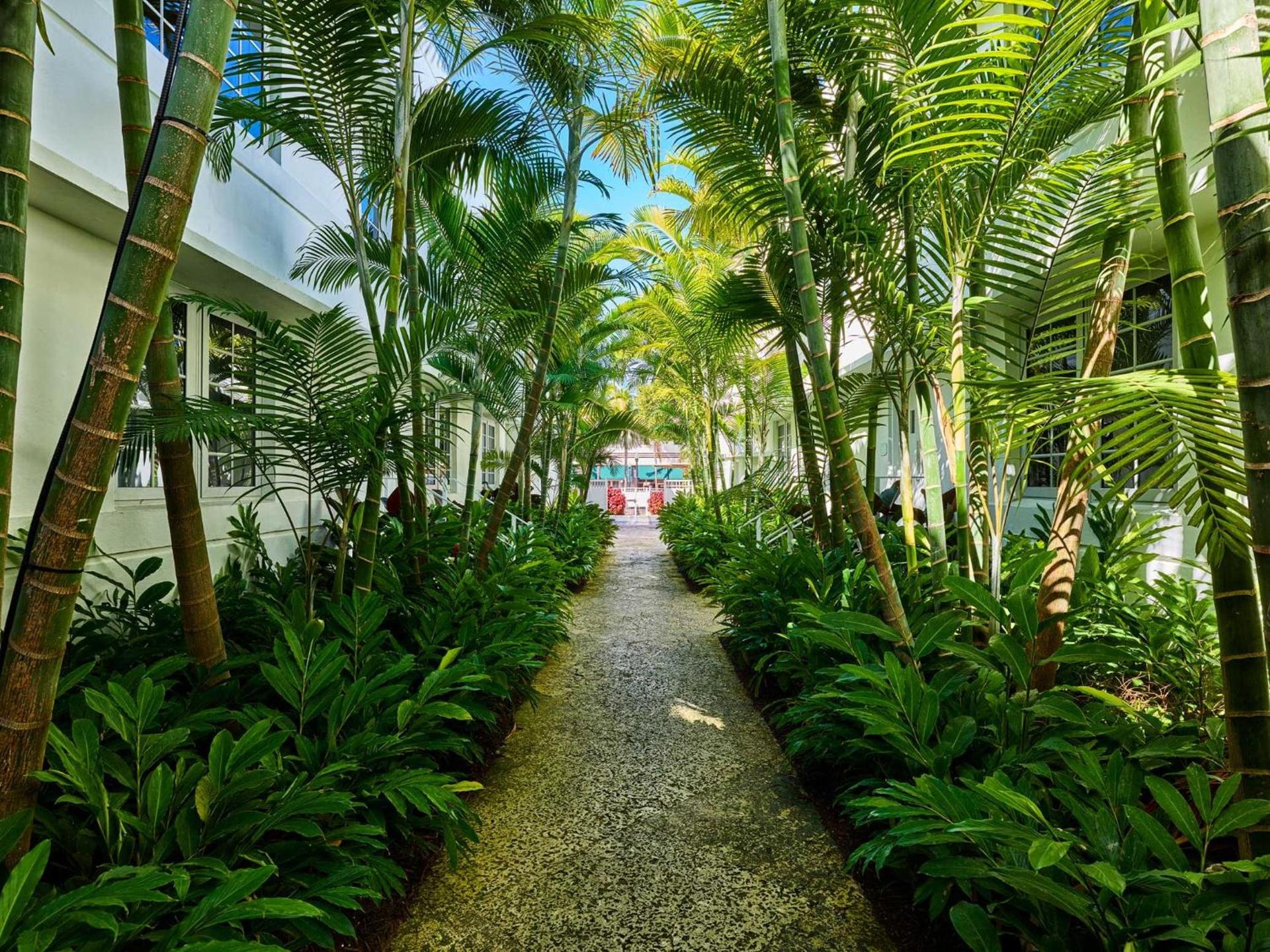 Axel Beach Miami-South Beach - Adults Only photo 34