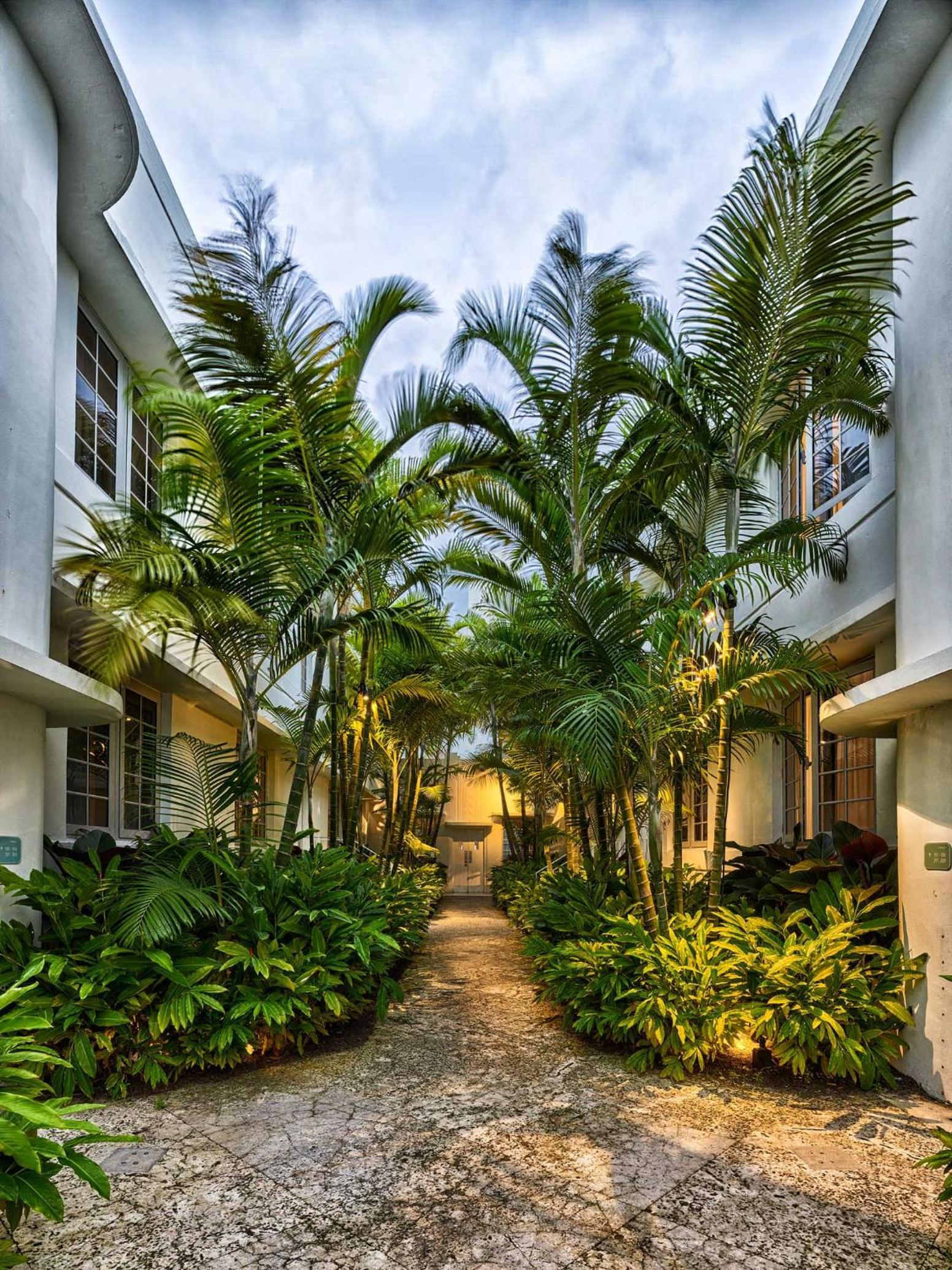 Axel Beach Miami-South Beach - Adults Only photo 33