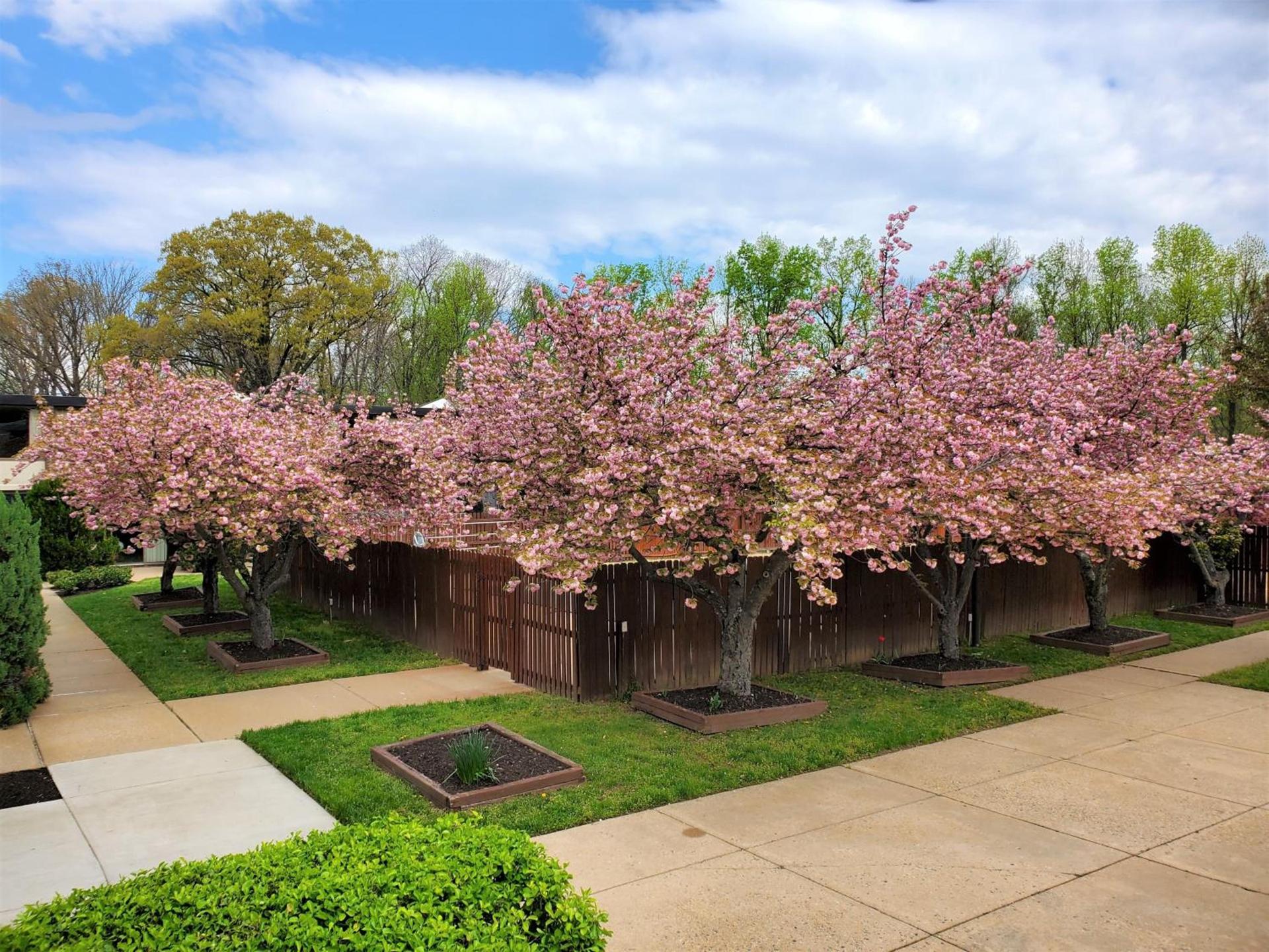 Ramada by Wyndham Triangle/Quantico photo 2