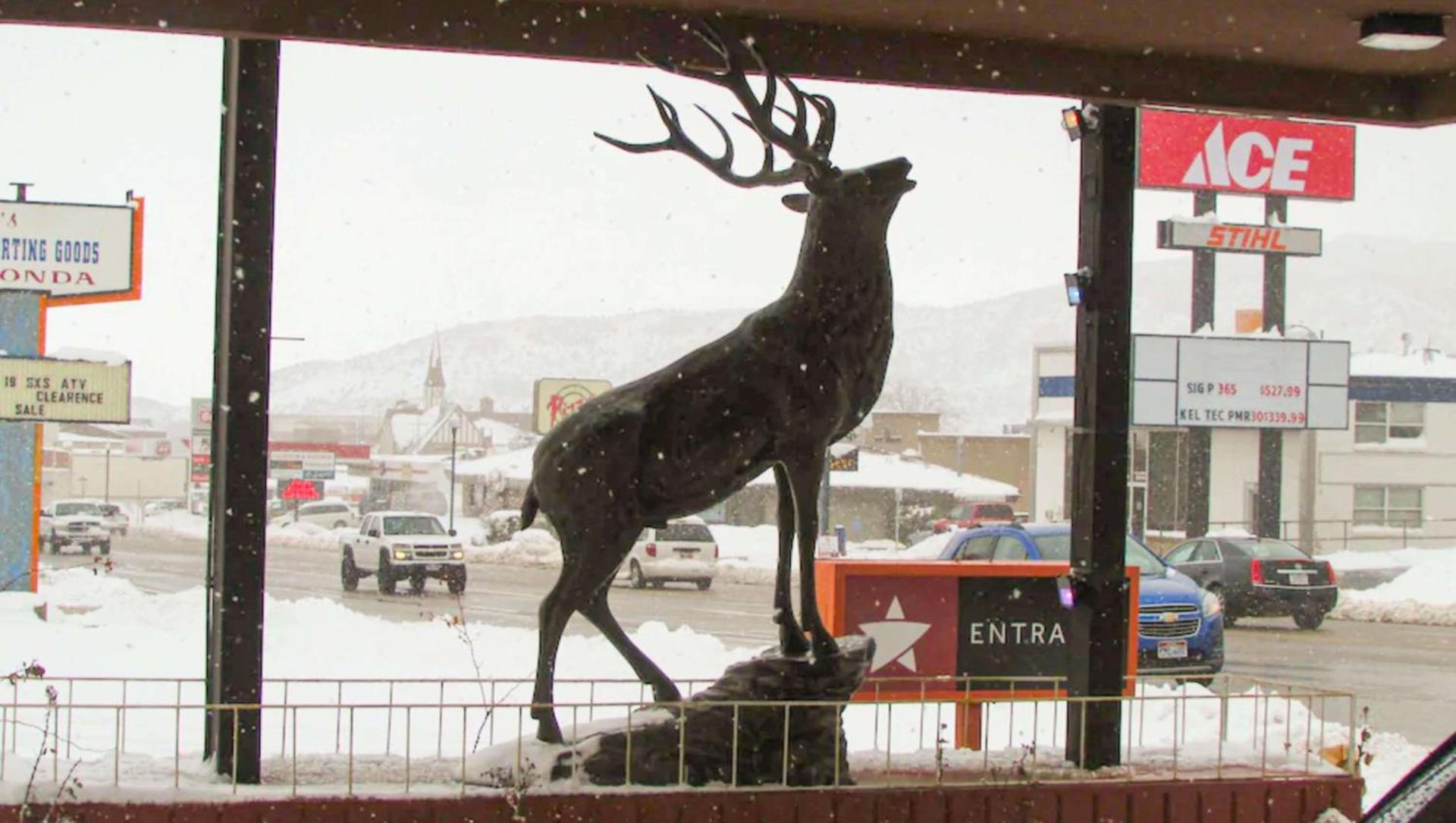 Mountain Star Inn photo 24