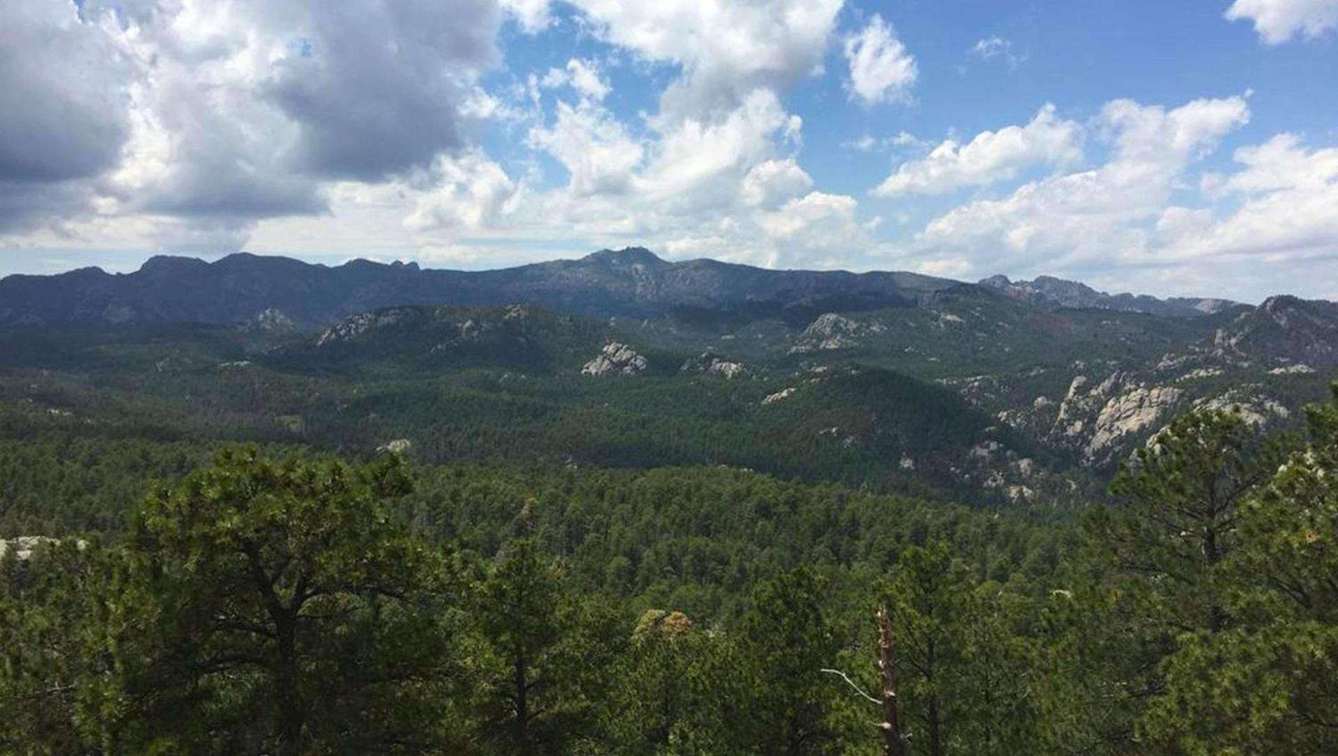 Magnuson Grand Rushmore View photo 19
