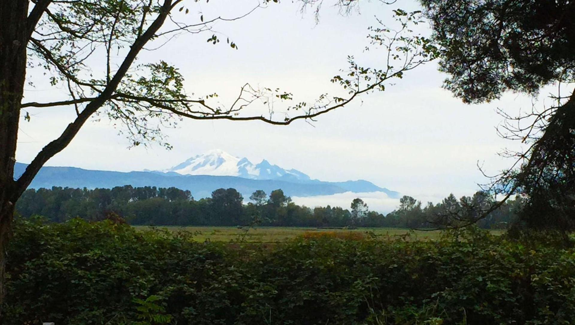 Windmill Inn Lynden photo 2