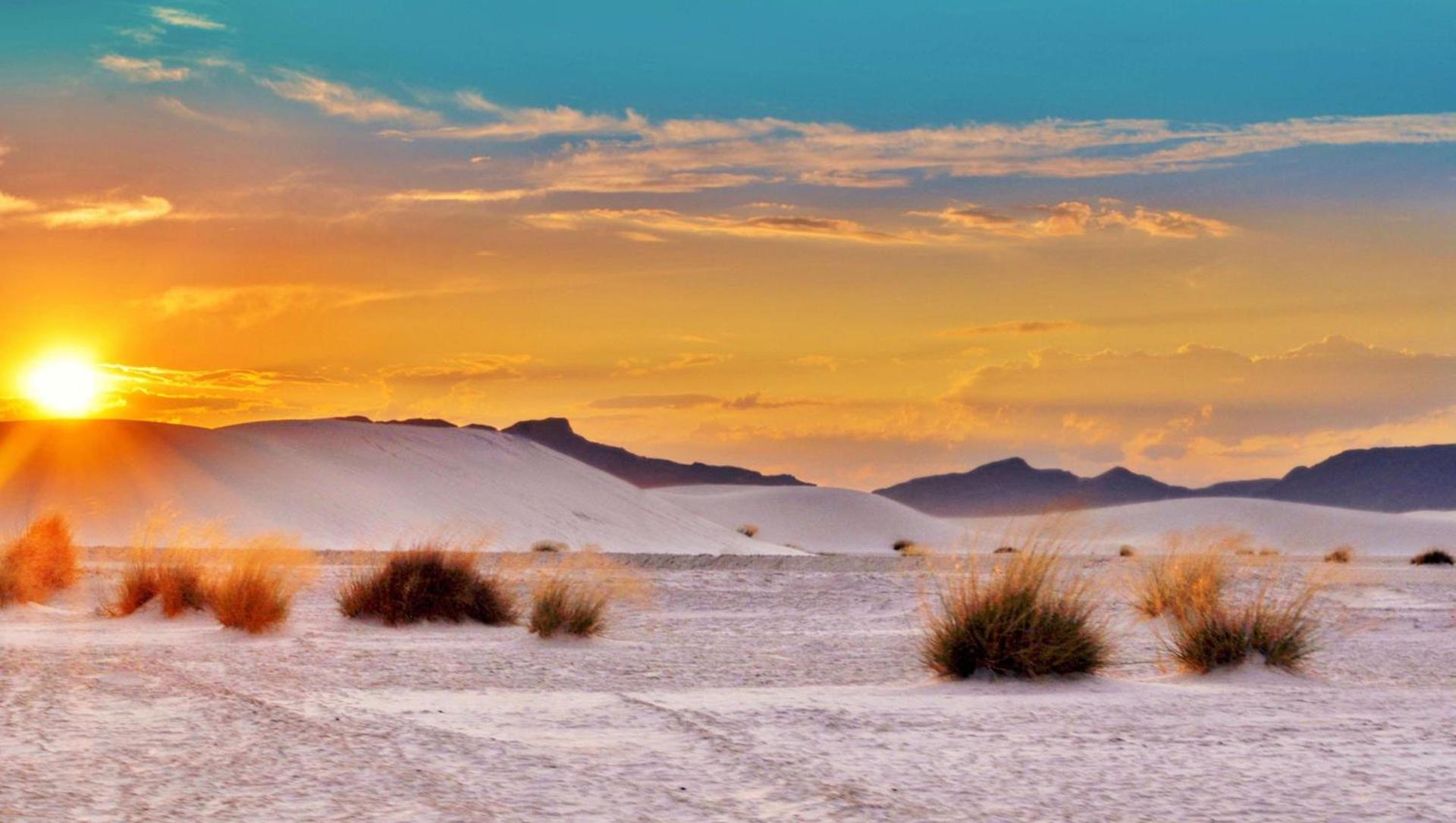 The Classic Desert Aire Hotel photo 41