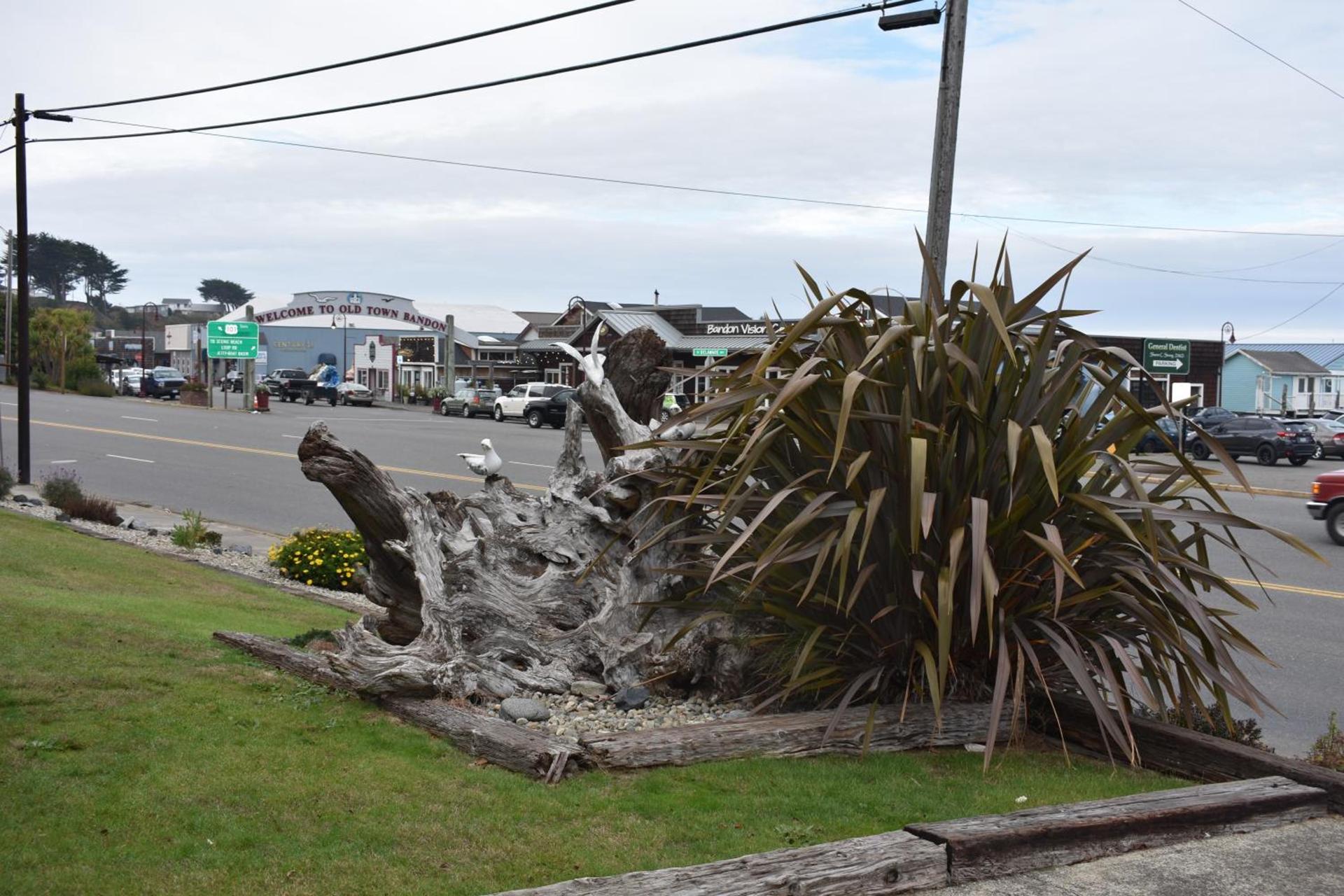 Lighthouse Cove Inn photo 22