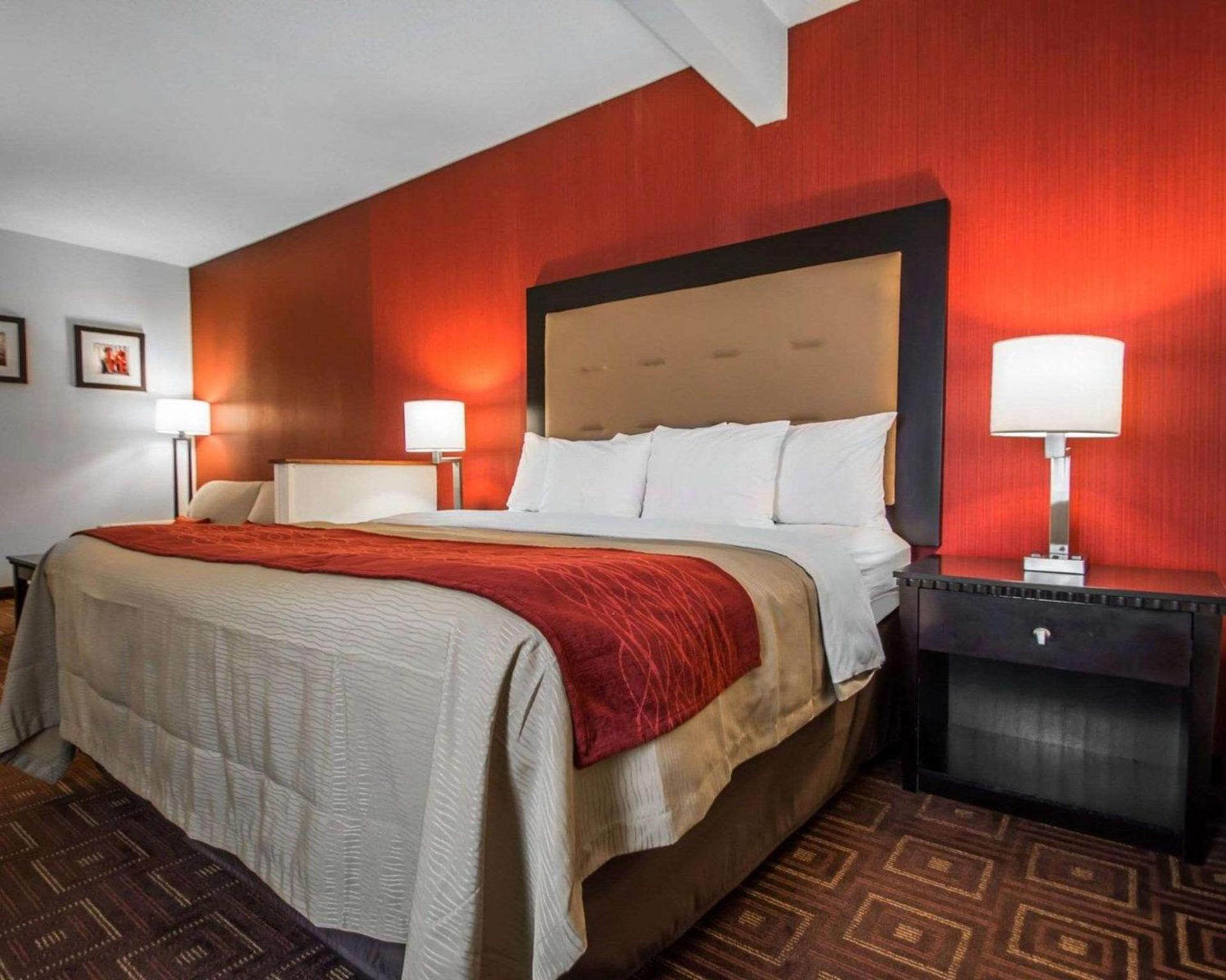 Quality Inn & Suites NJ State Capital Area photo 8