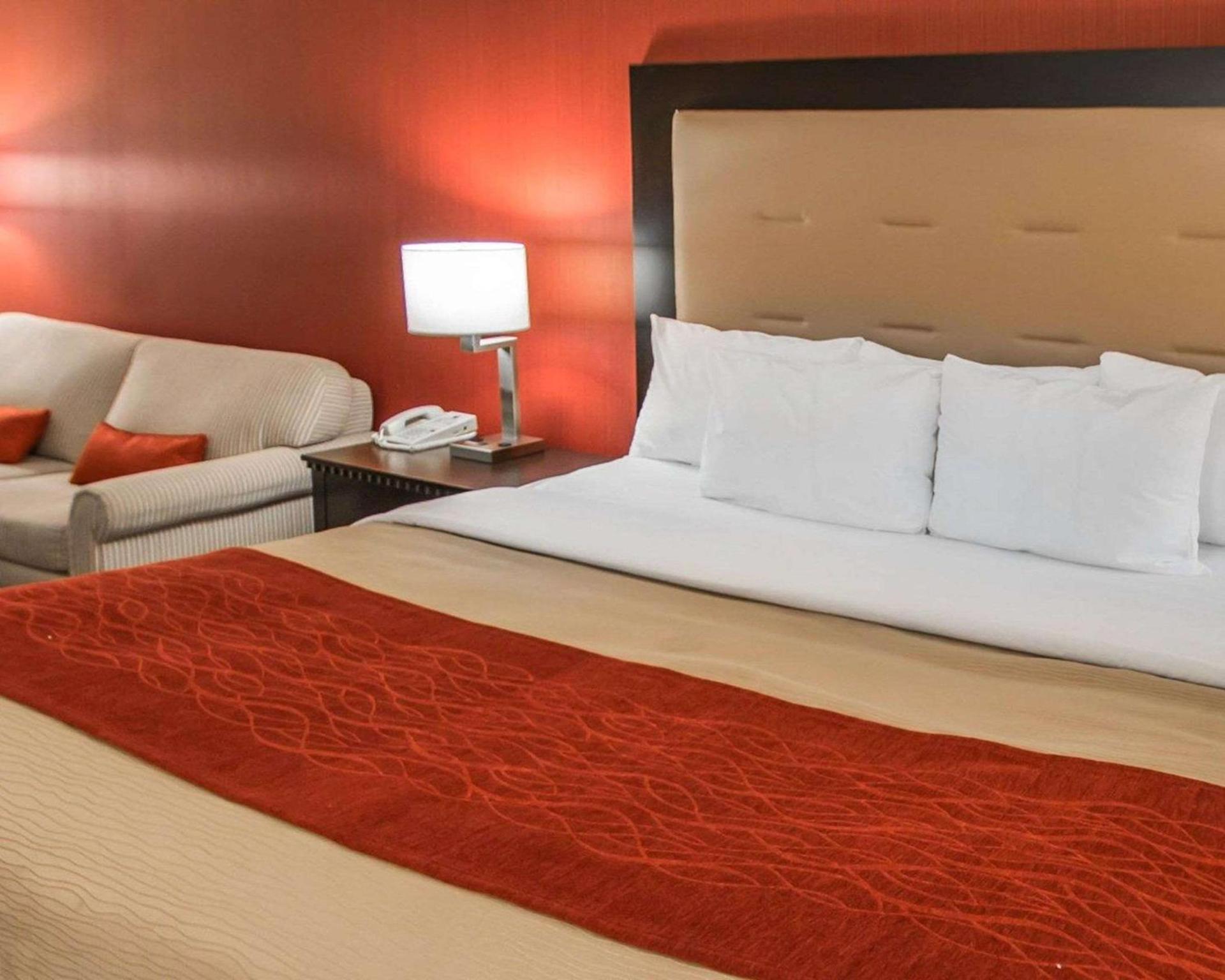 Quality Inn & Suites NJ State Capital Area photo 12