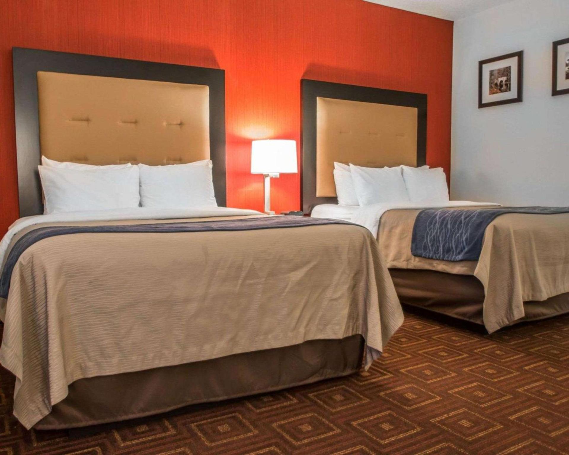 Quality Inn & Suites NJ State Capital Area photo 16