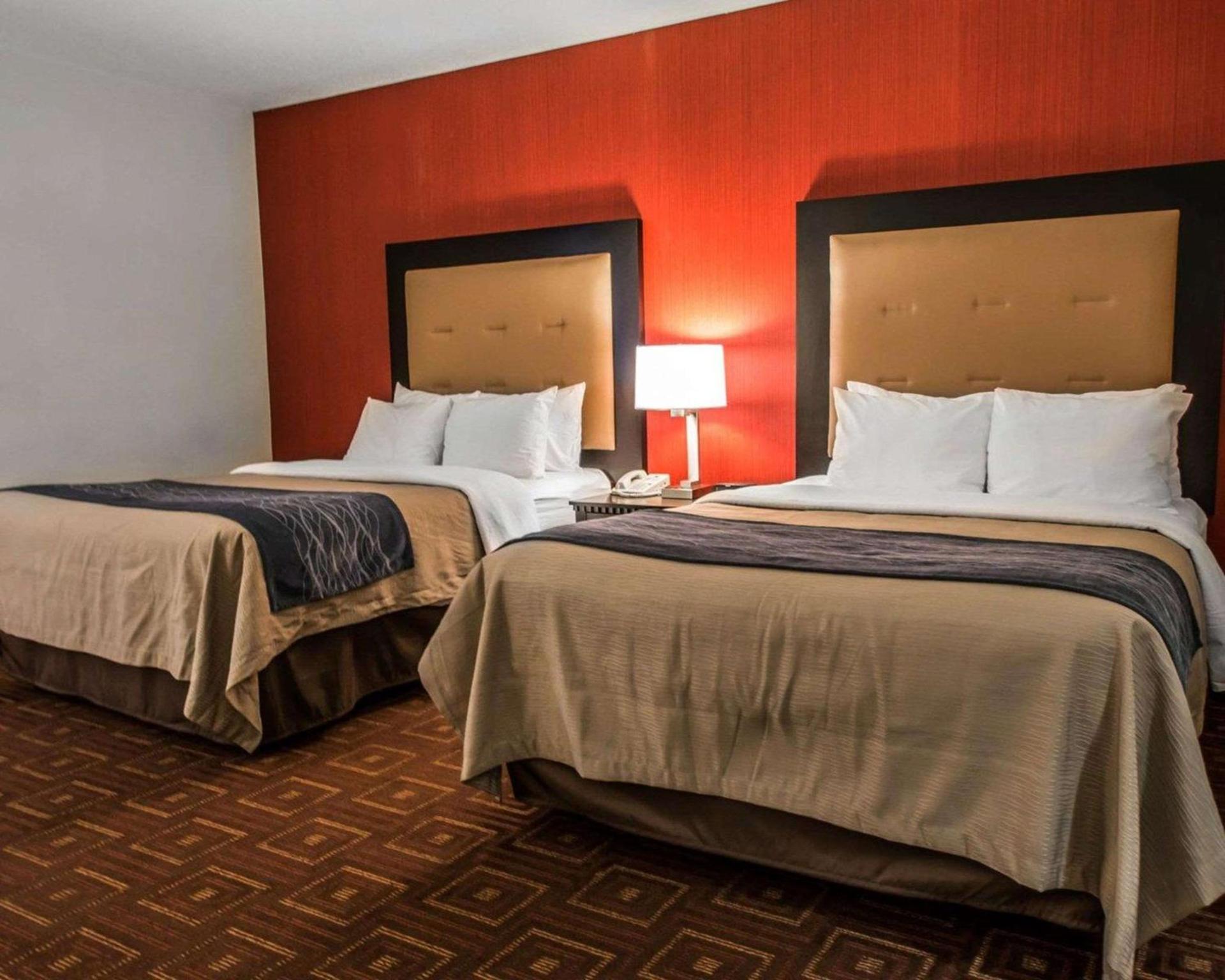Quality Inn & Suites NJ State Capital Area photo 17