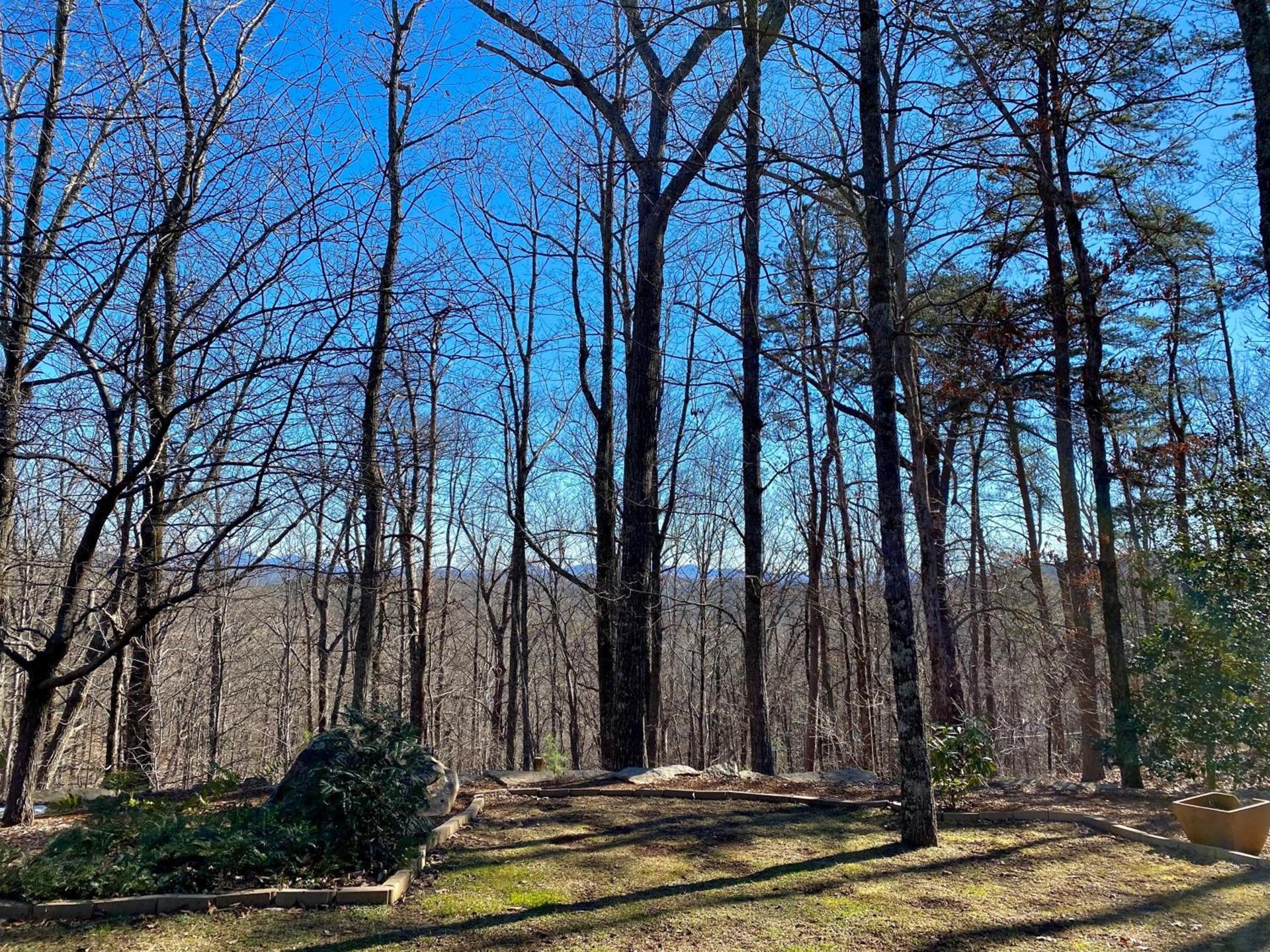 Barefoot Hills photo 90