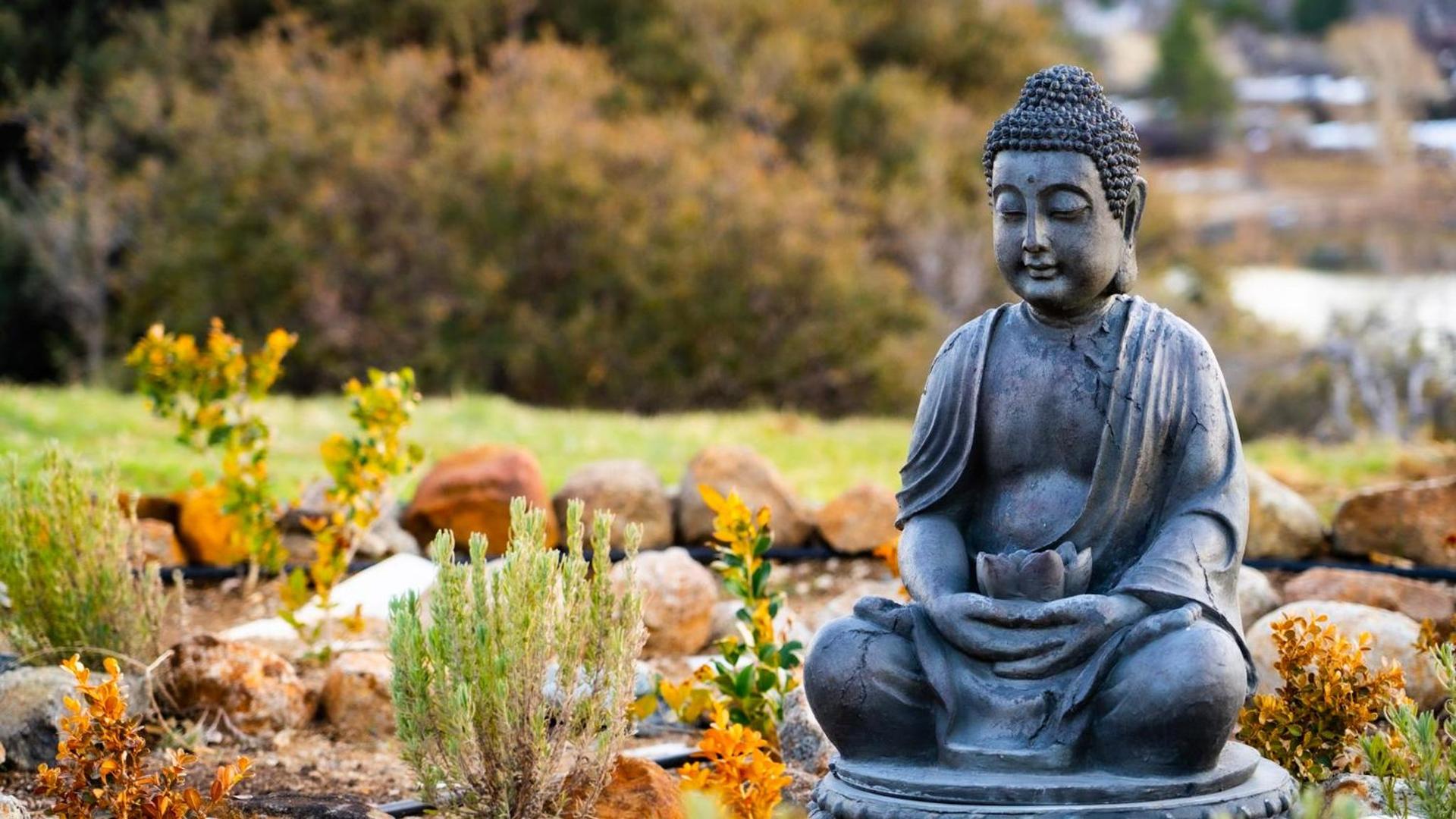 Quiet Mind Mountain Lodge, Retreat & Spa photo 58