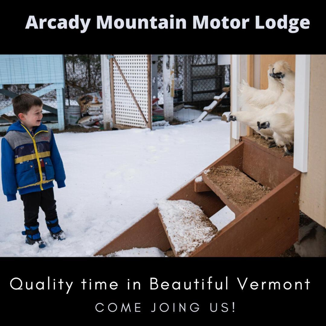Arcady Mountain Motor Lodge photo 81