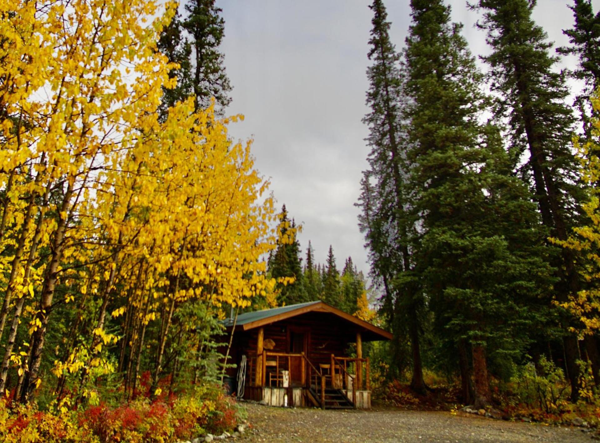 Carlo Creek Cabins photo 59