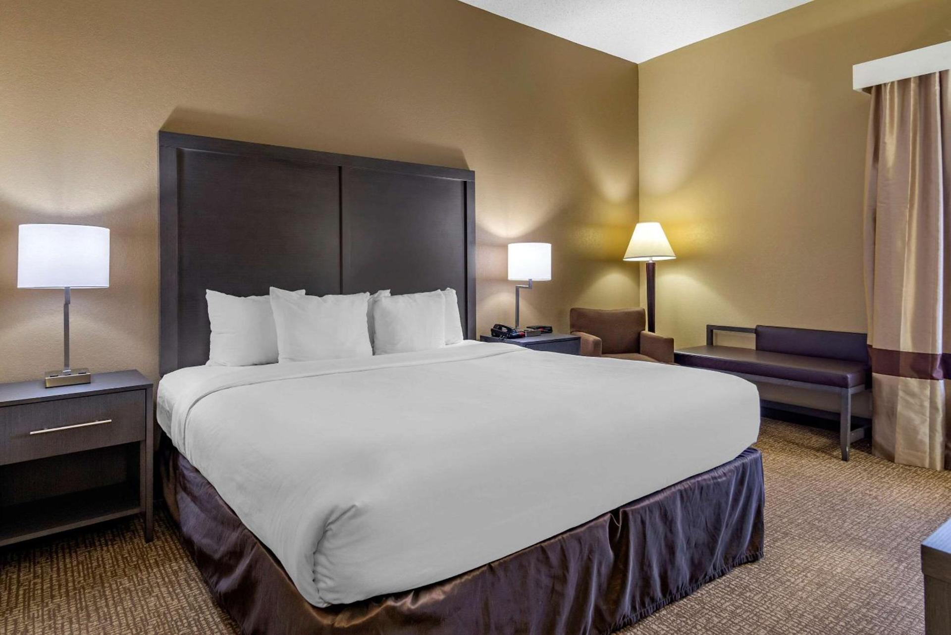 Comfort Inn Opelika - Auburn photo 5