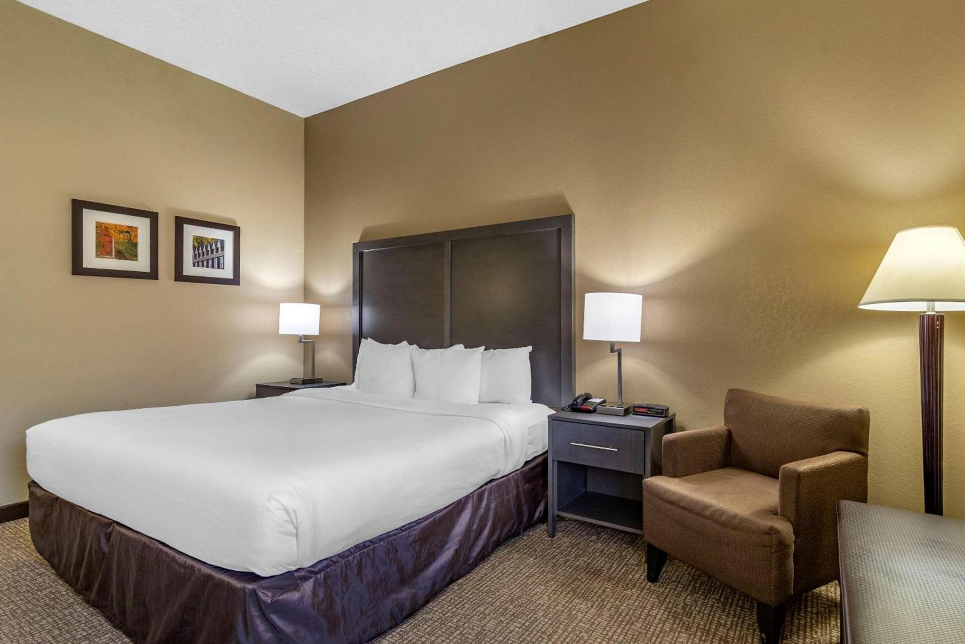 Comfort Inn Opelika - Auburn photo 6