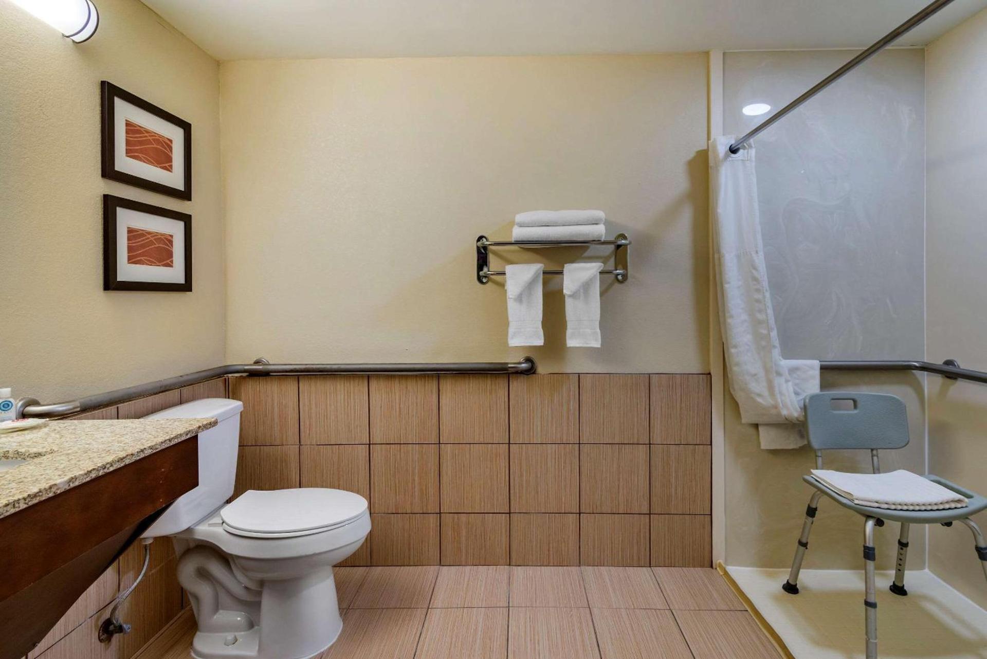 Comfort Inn Opelika - Auburn photo 8