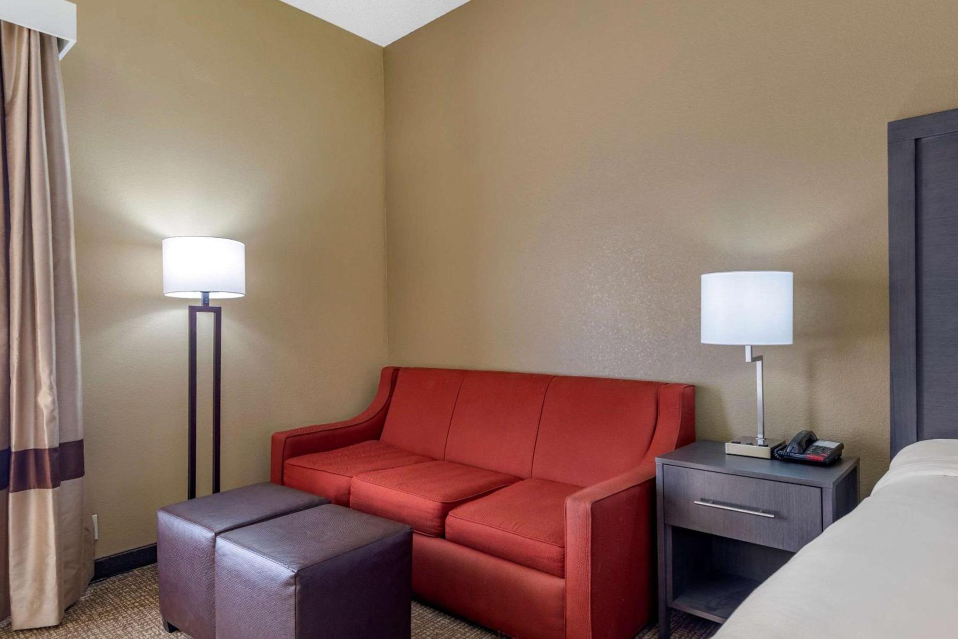 Comfort Inn Opelika - Auburn photo 10