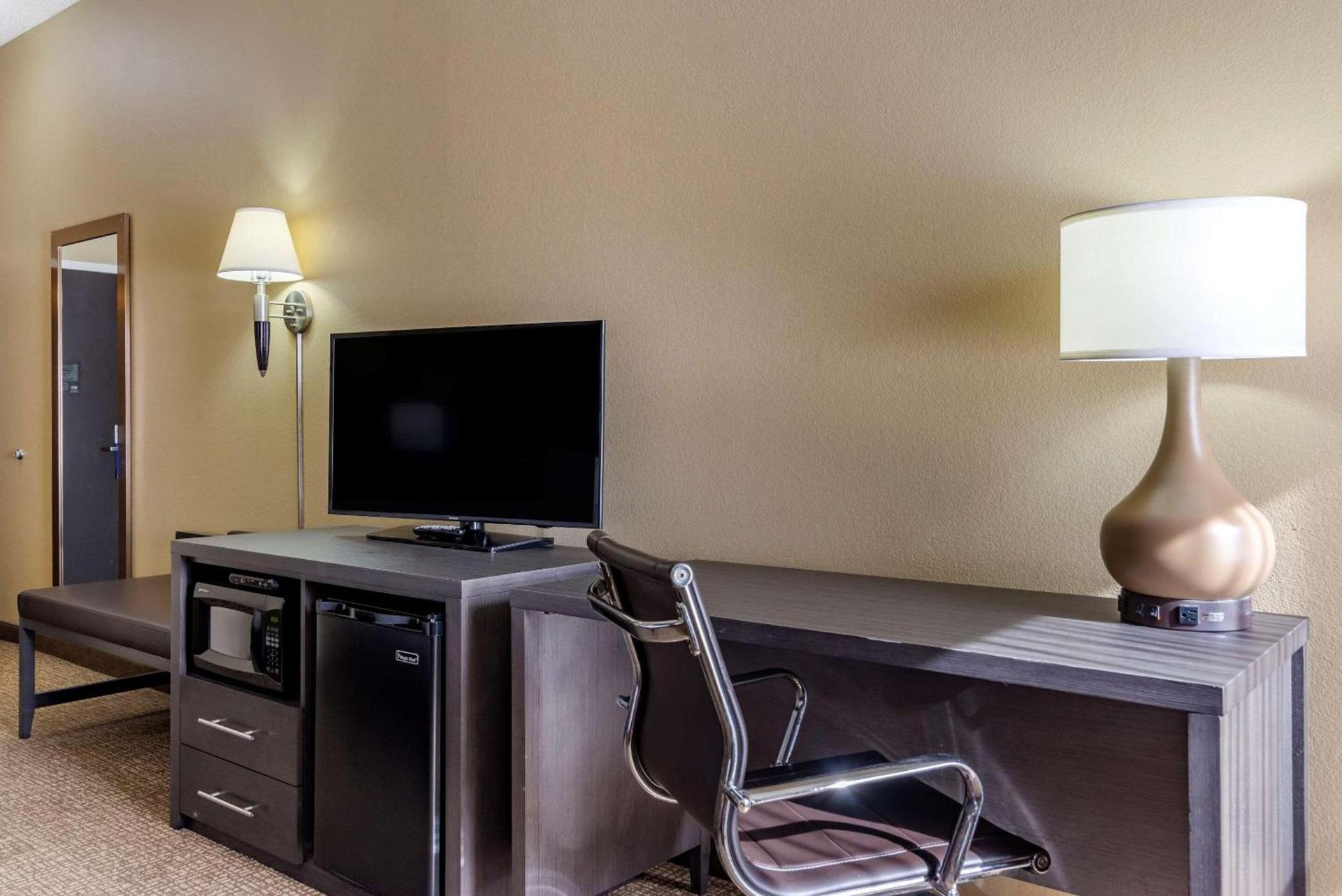 Comfort Inn Opelika - Auburn photo 11