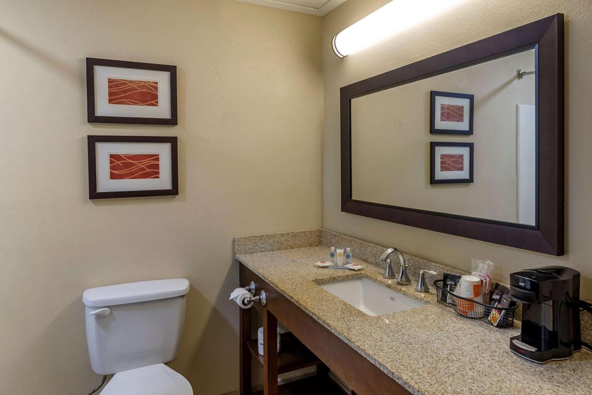 Comfort Inn Opelika - Auburn photo 12