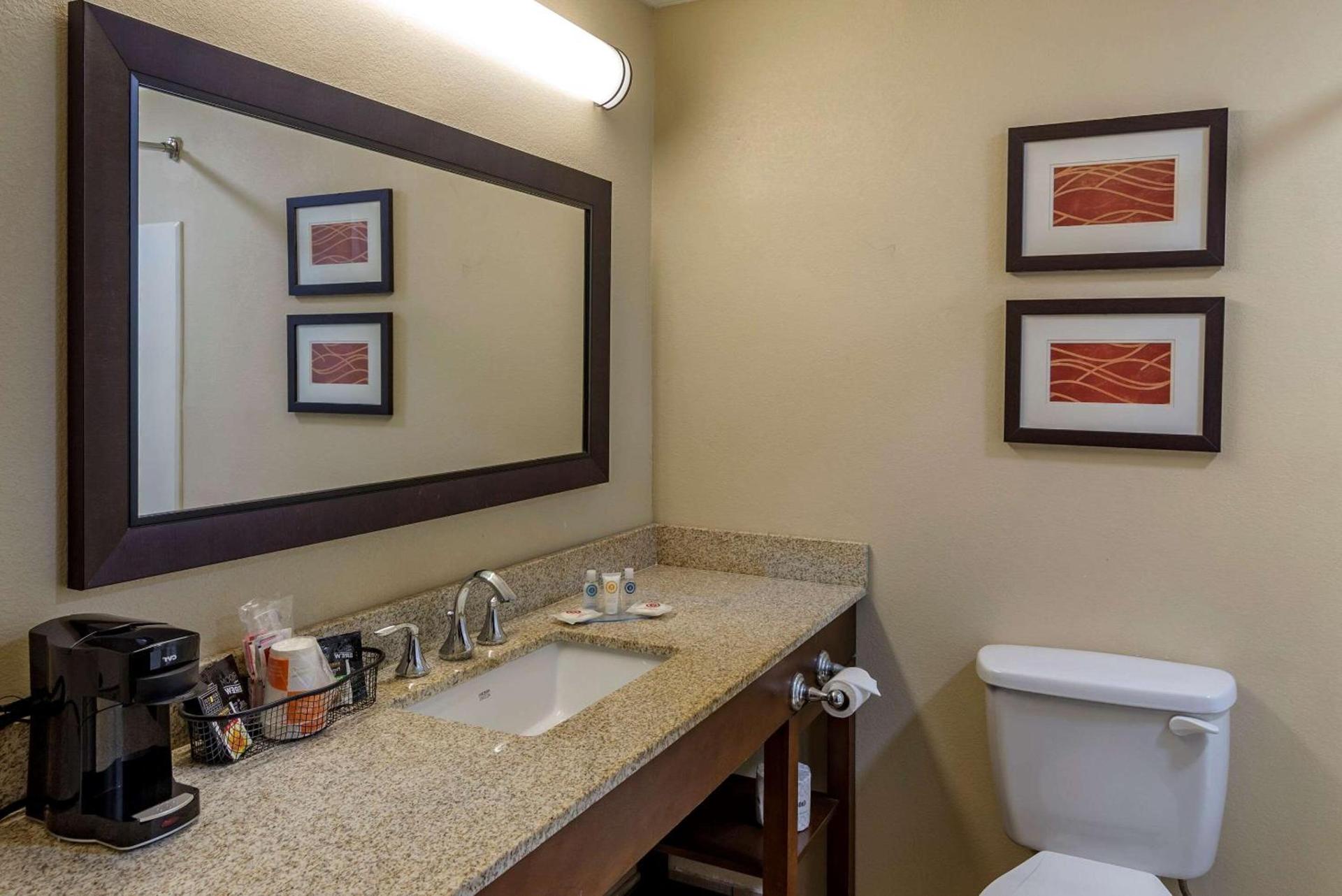 Comfort Inn Opelika - Auburn photo 16