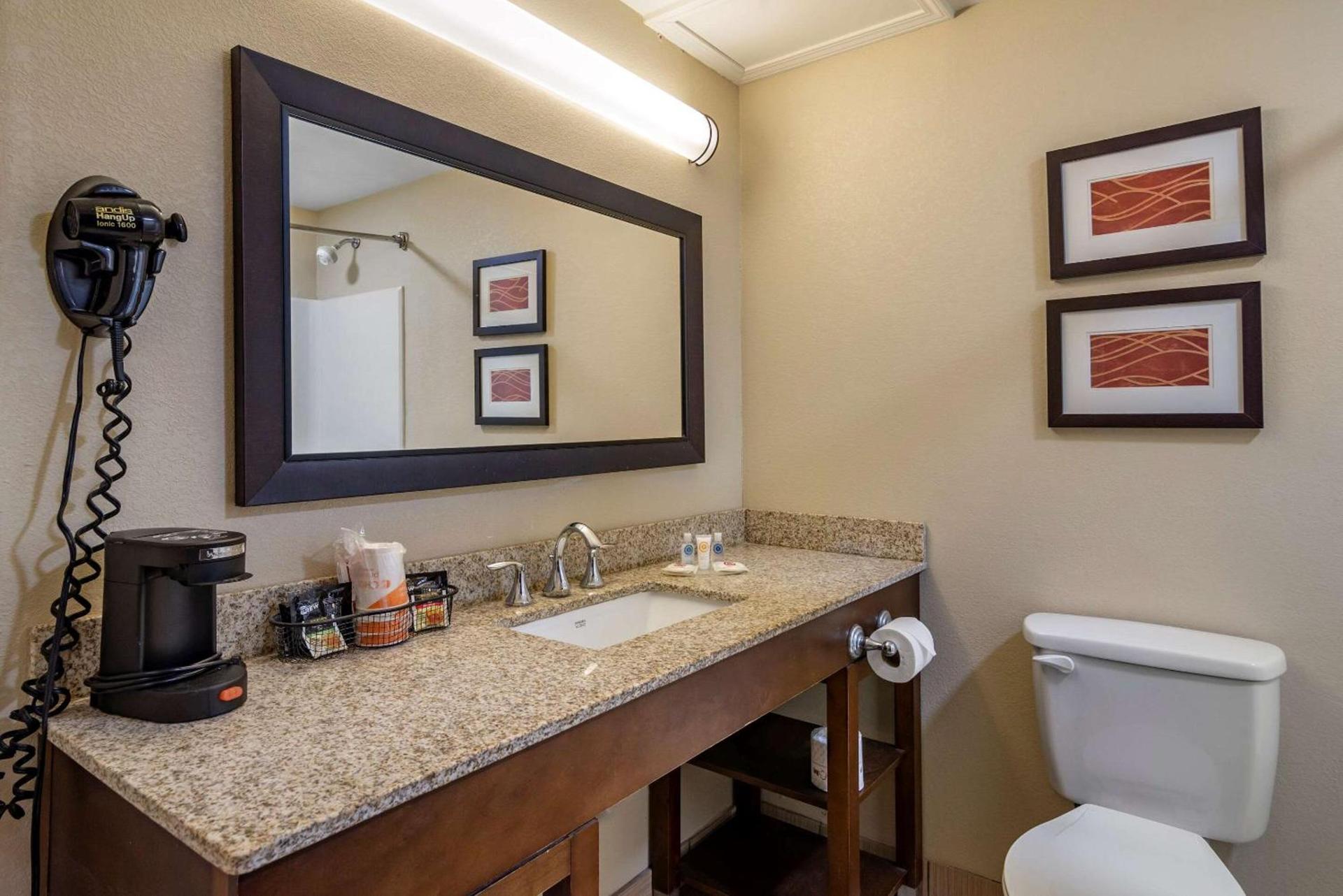 Comfort Inn Opelika - Auburn photo 20