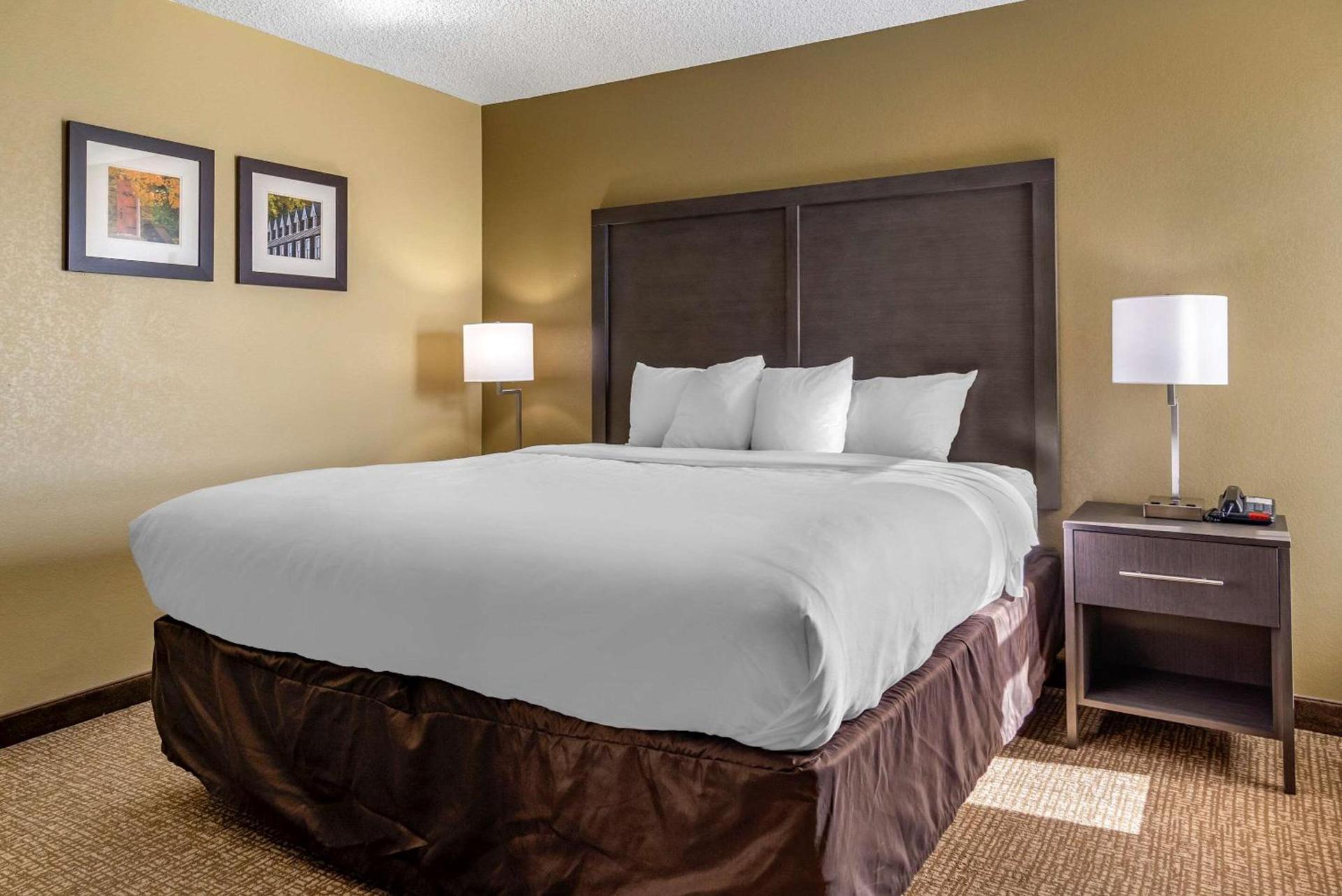 Comfort Inn Opelika - Auburn photo 21