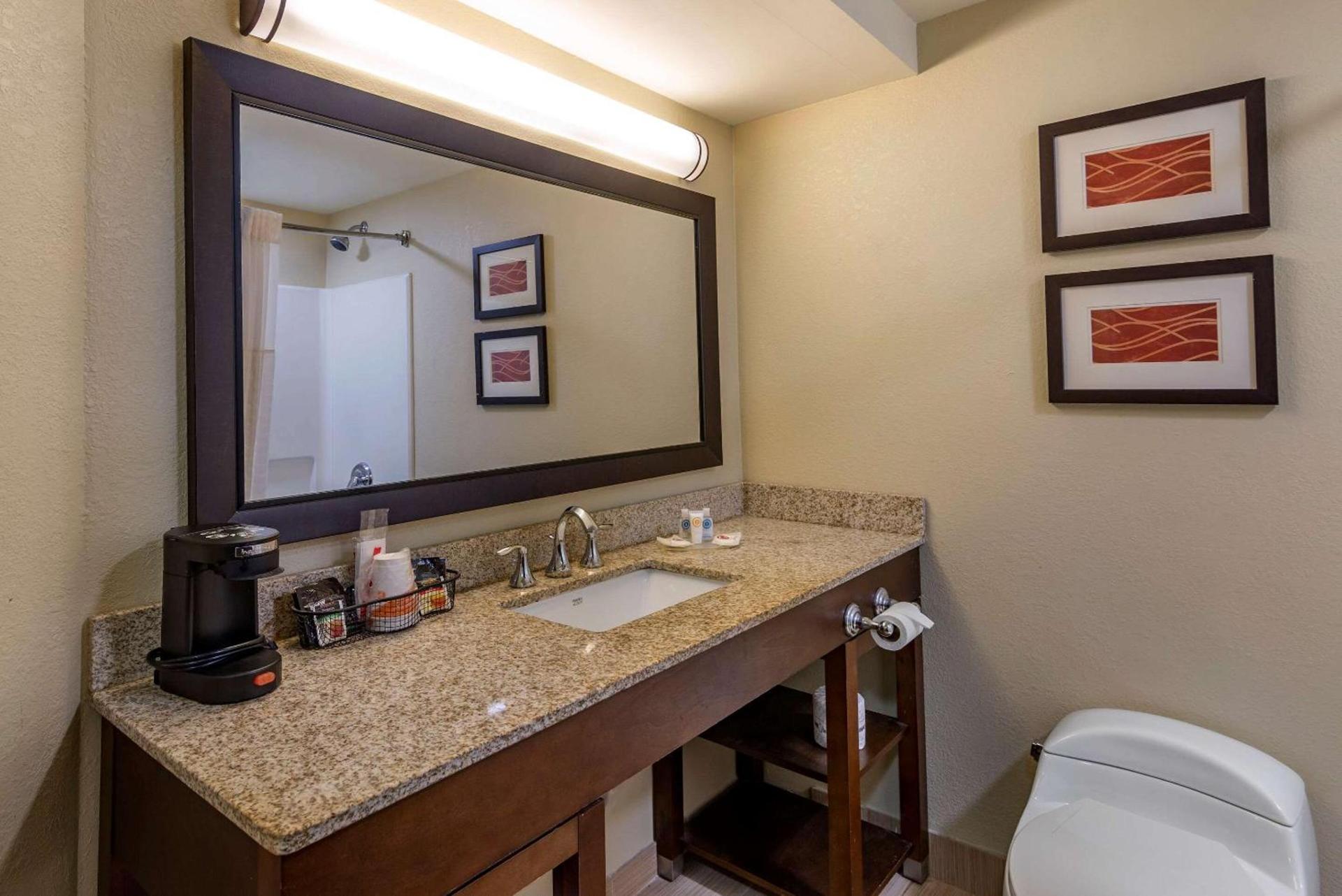 Comfort Inn Opelika - Auburn photo 24