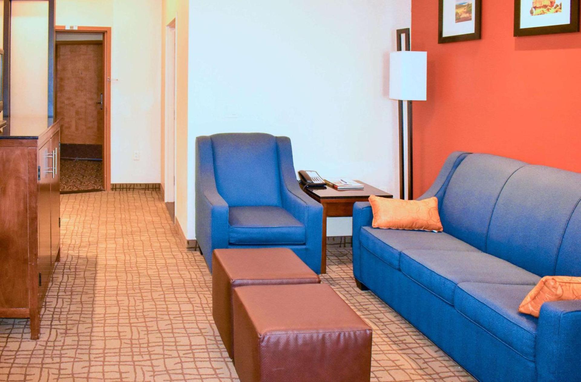 Comfort Suites Roswell North photo 13