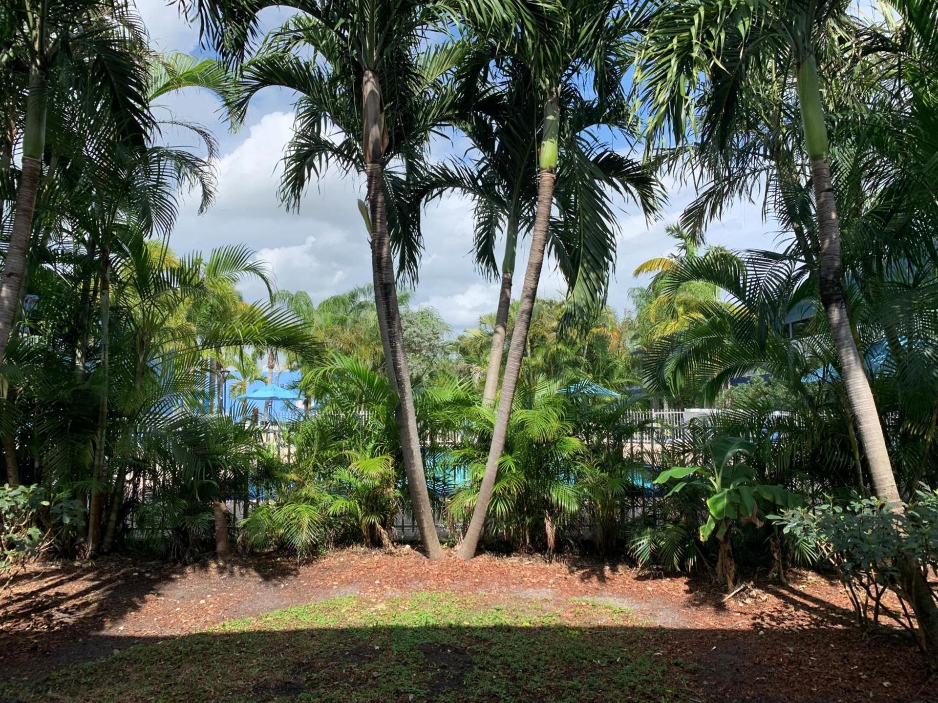 Rodeway Inn & Suites Fort Lauderdale Airport & Cruise Port photo 93