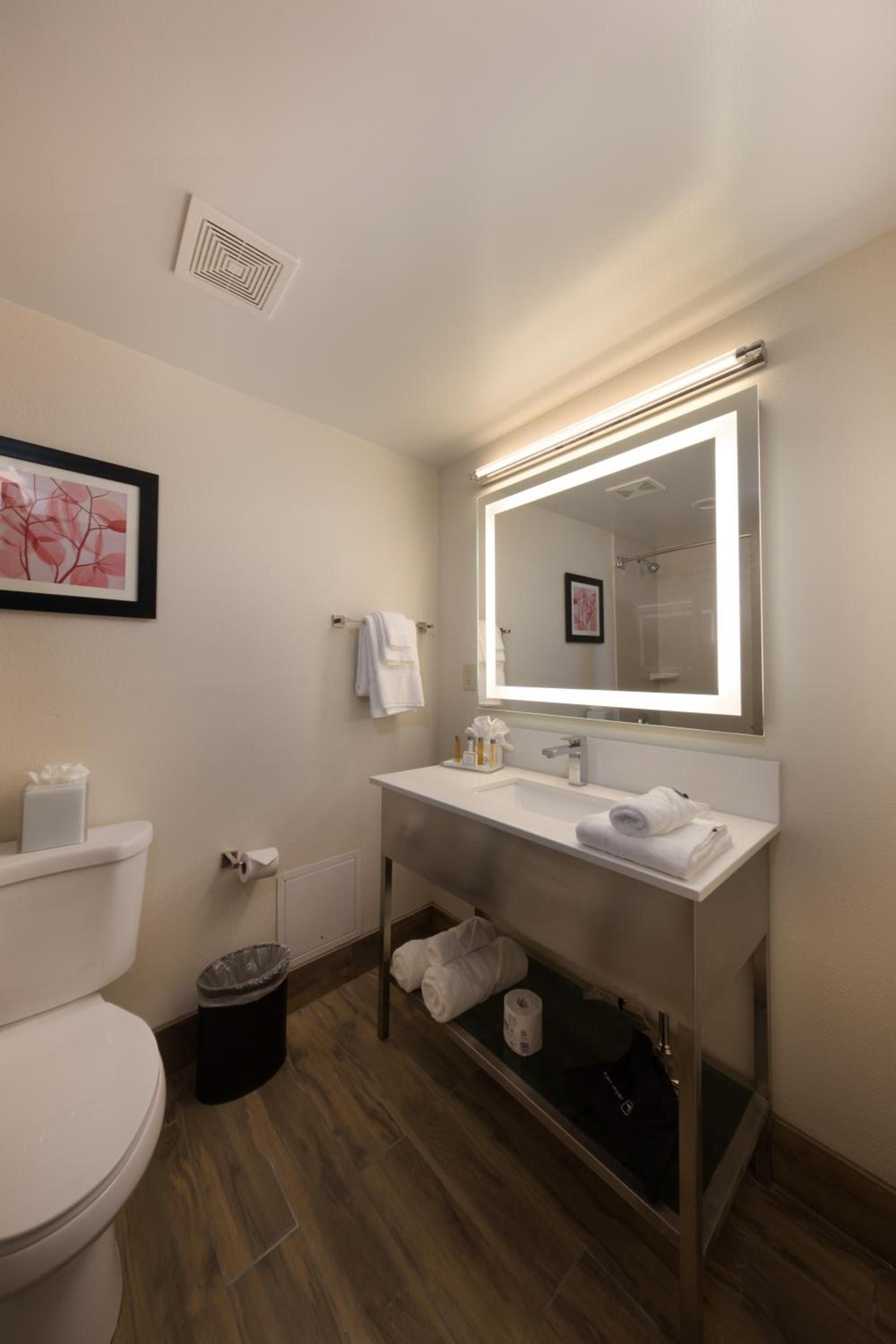 Holiday Inn Brookfield - Milwaukee by IHG photo 47