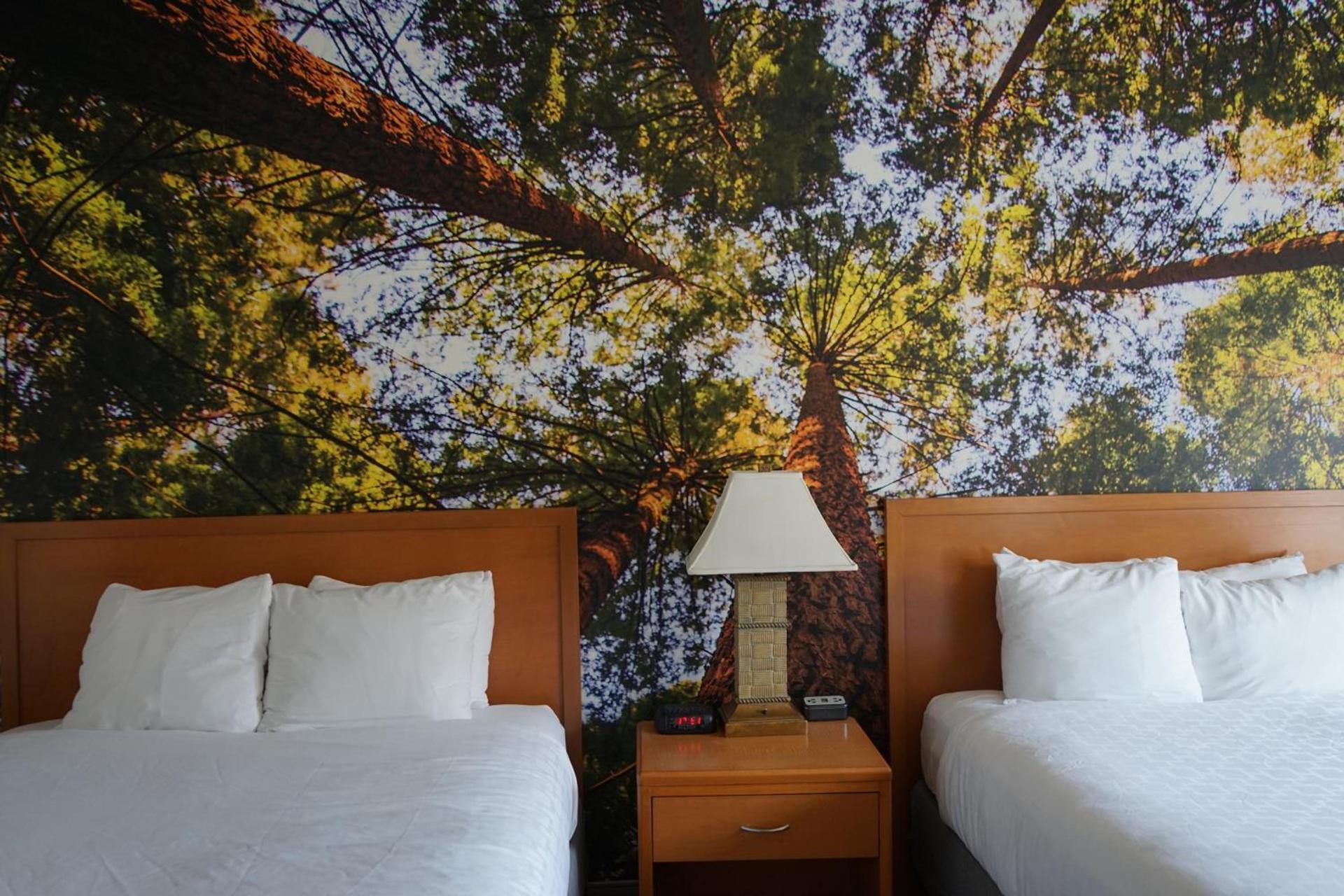 The Hanford Hotel, an Ascend Collection Hotel photo 38