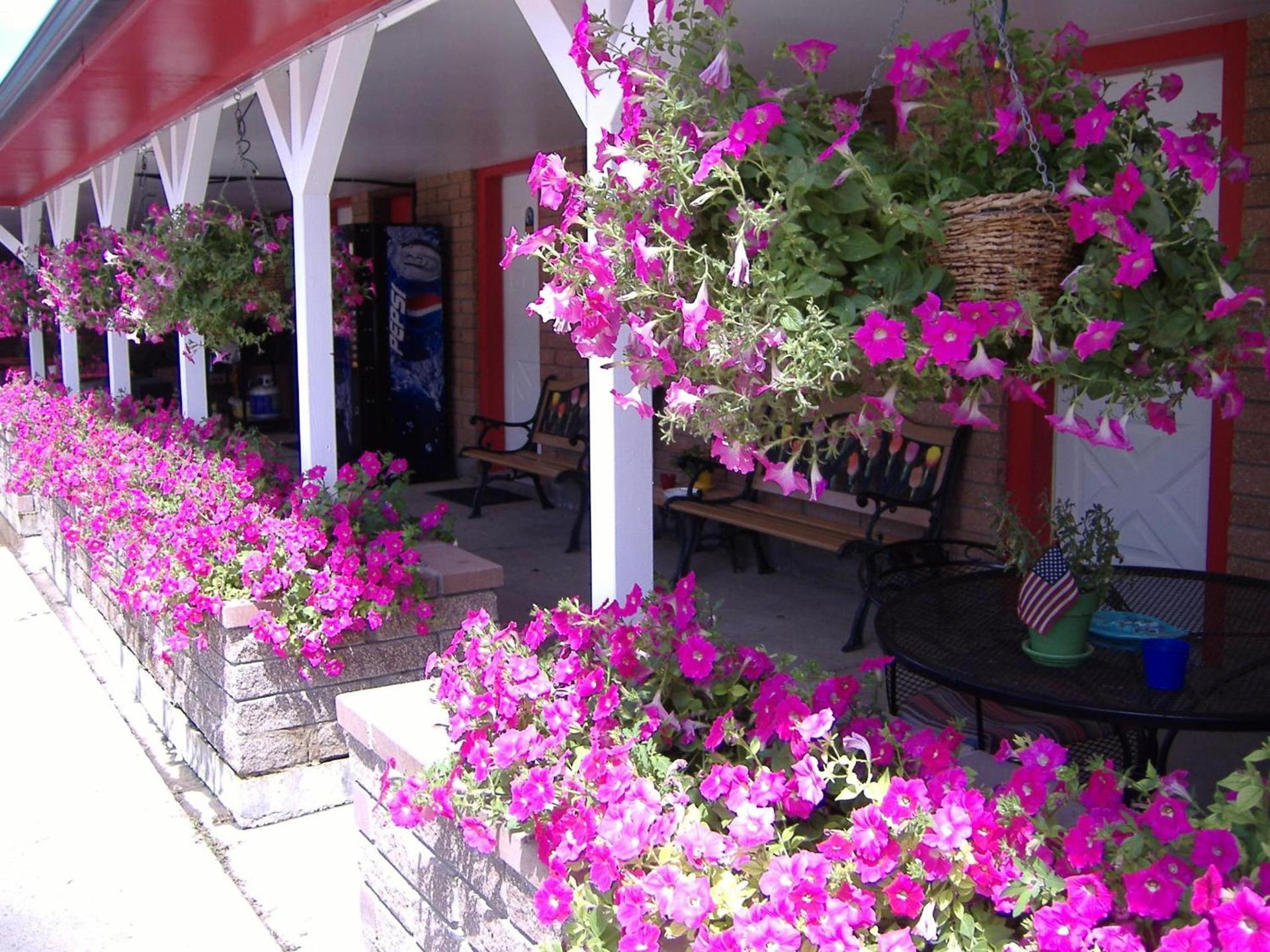 Greybull Motel photo 6
