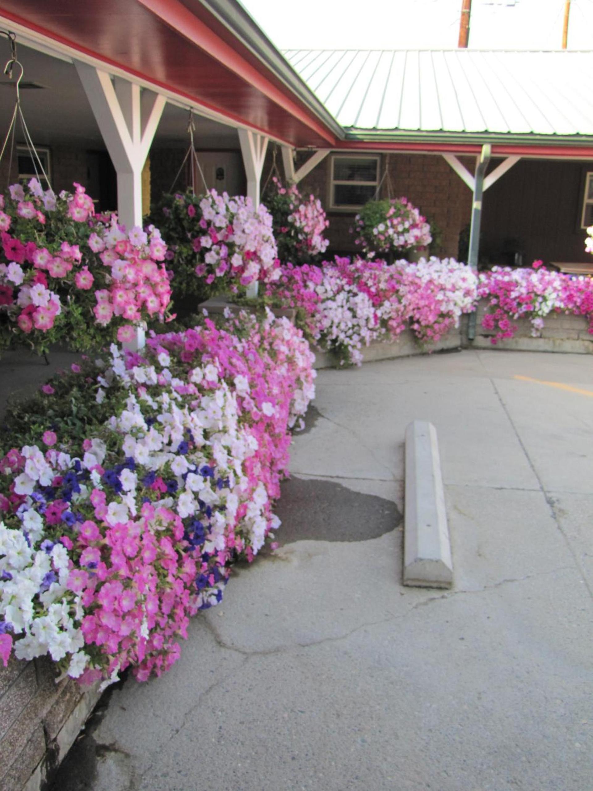 Greybull Motel photo 12