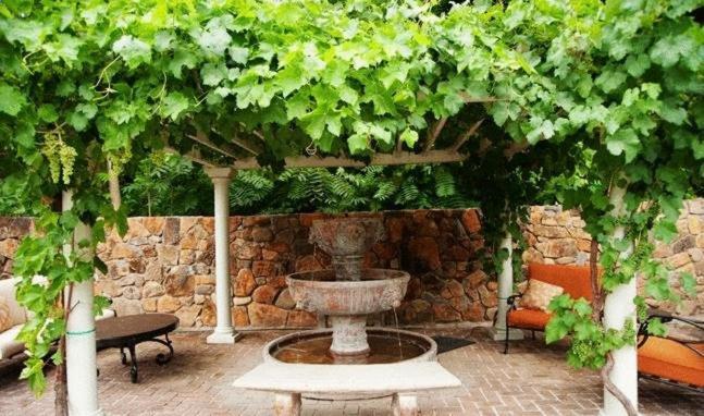 Spanish Villa Inn photo 10