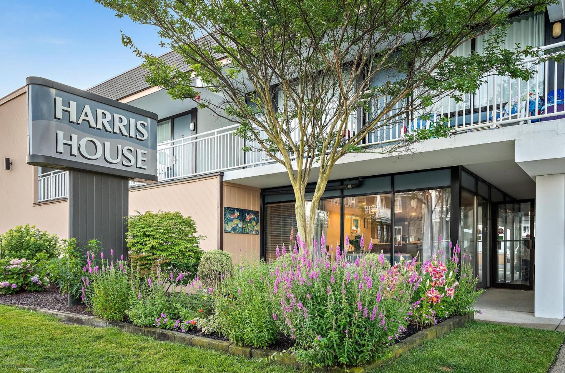 Harris House by the Beach photo 22