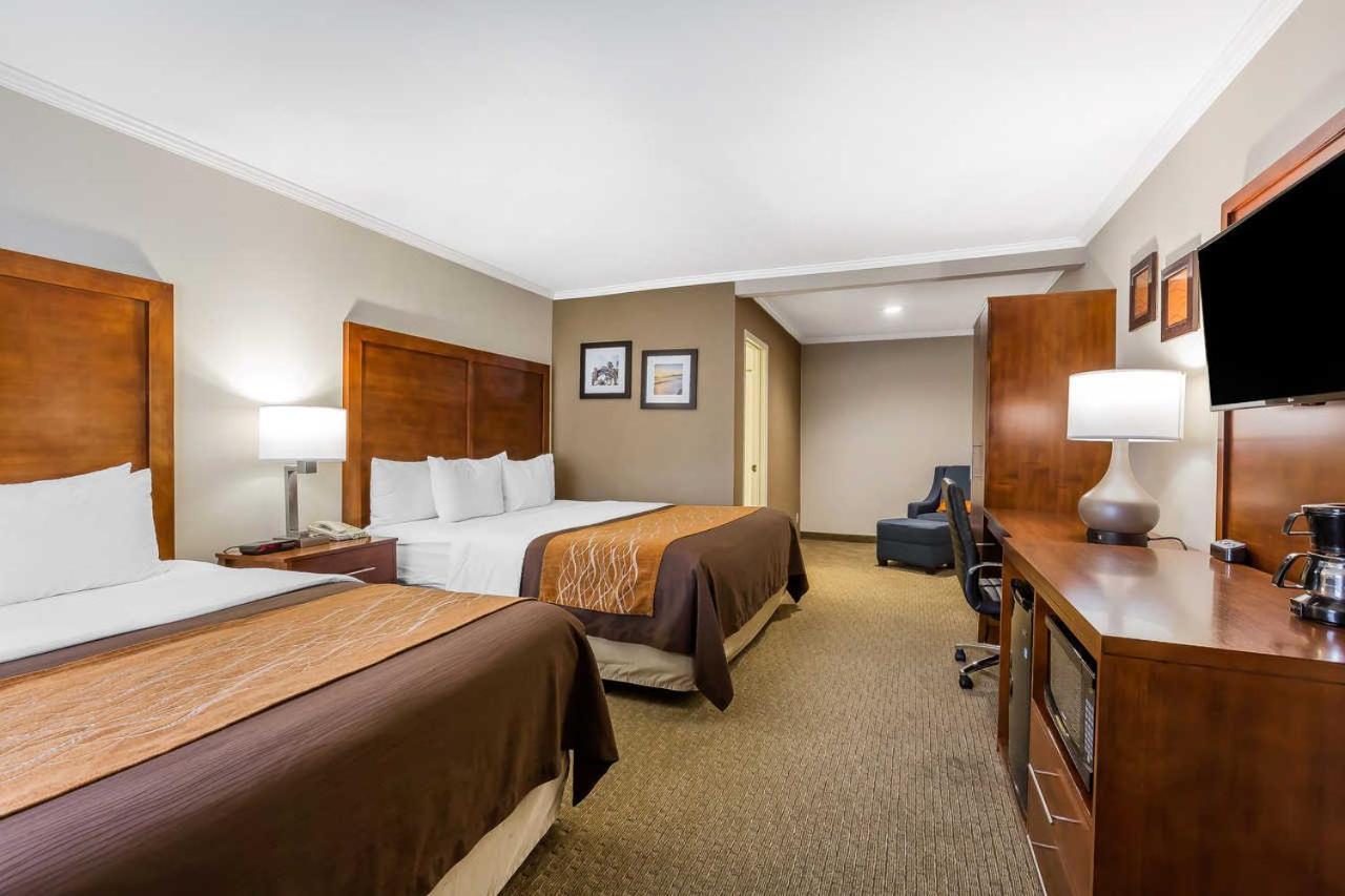 Comfort Inn Santa Monica - West Los Angeles photo 97