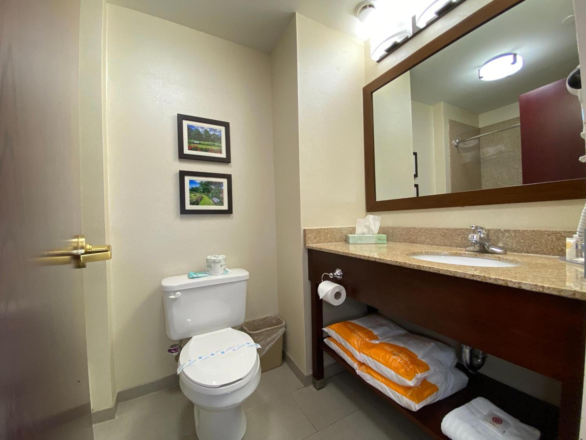 Comfort Inn East Windsor - Springfield photo 43