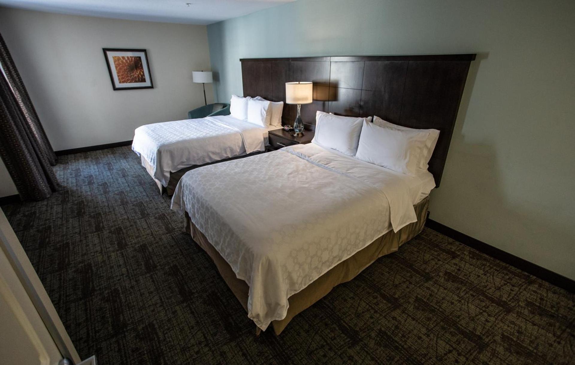 Staybridge Suites Silicon Valley - Milpitas by IHG photo 4