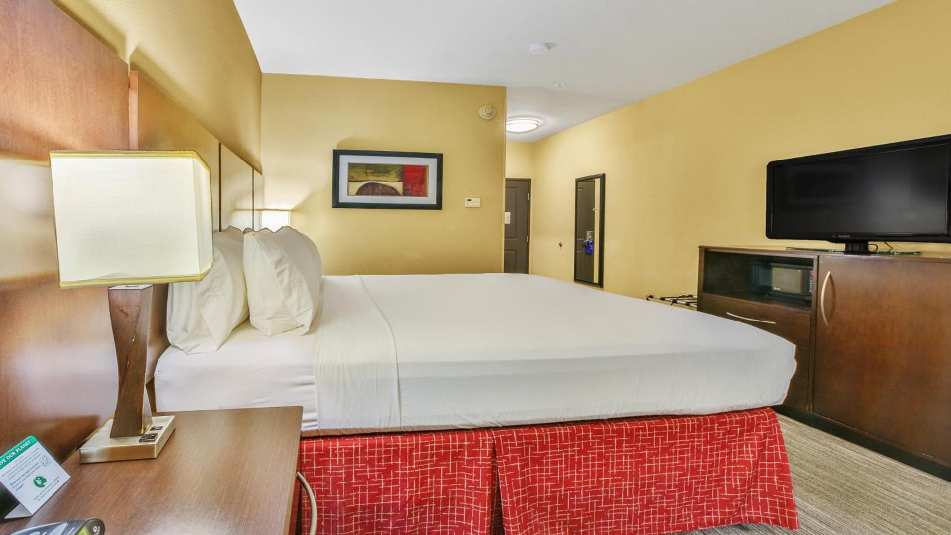 Holiday Inn Express & Suites Houston South - Near Pearland by IHG photo 4