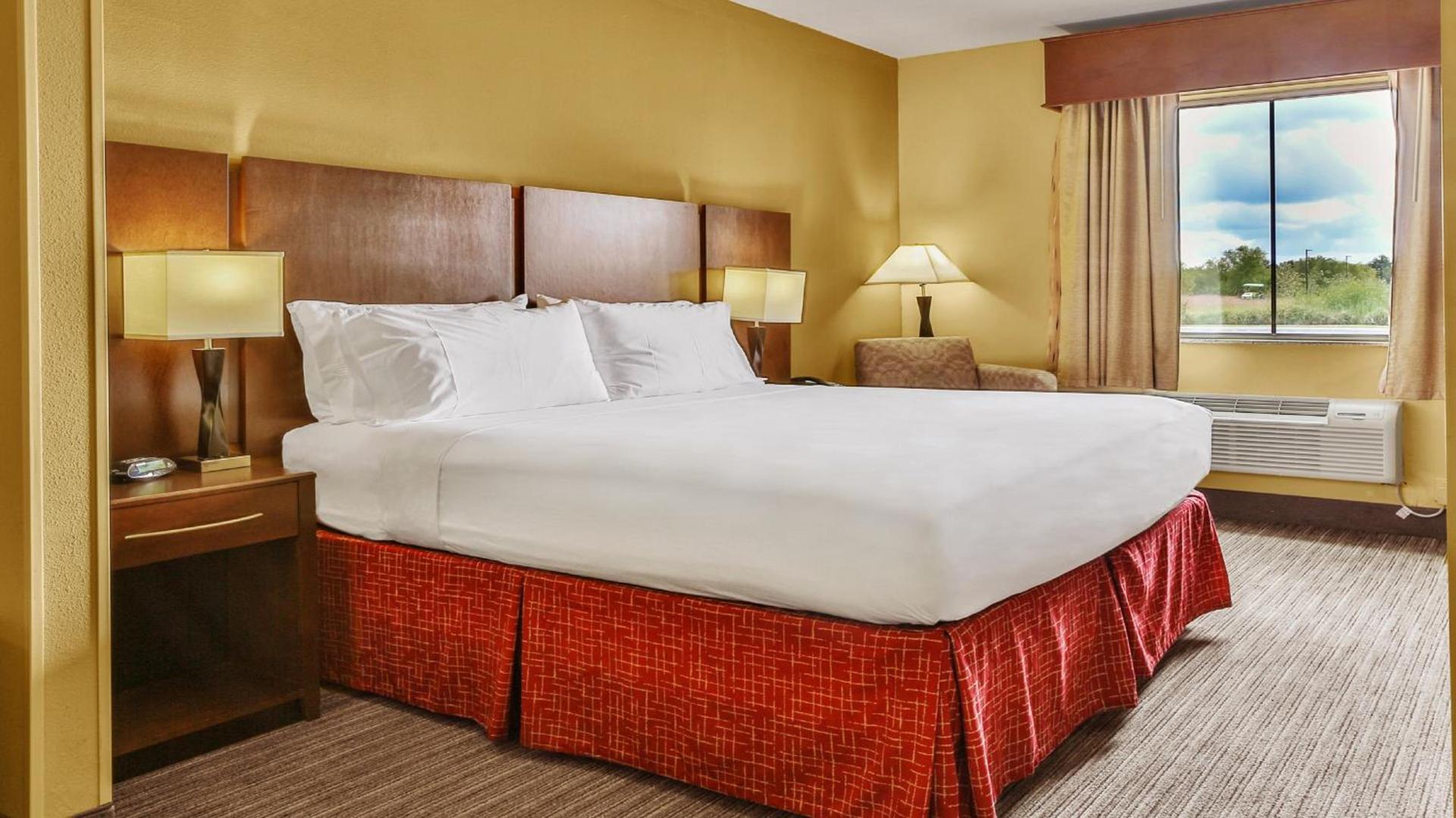 Holiday Inn Express & Suites Houston South - Near Pearland by IHG photo 6