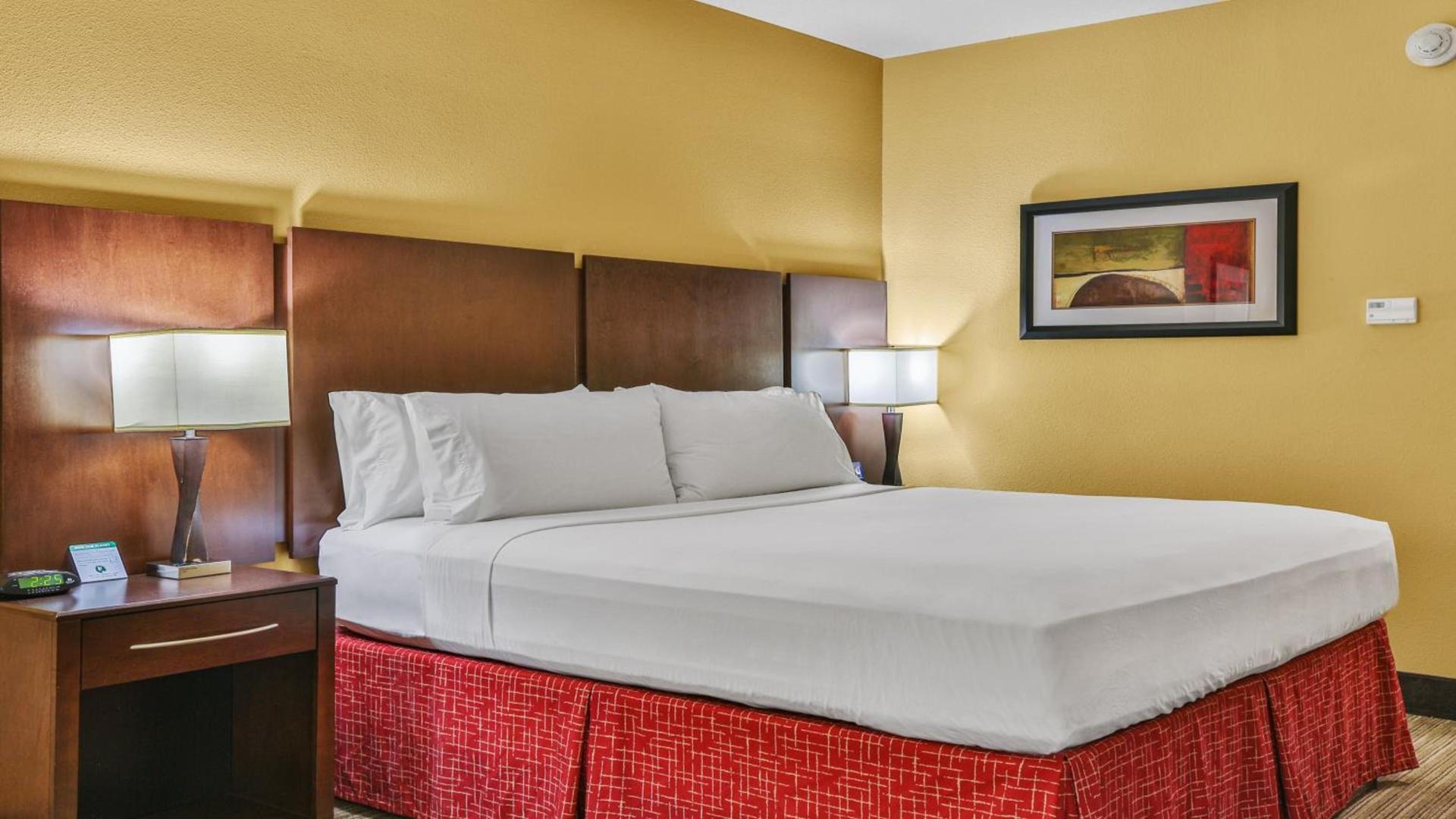 Holiday Inn Express & Suites Houston South - Near Pearland by IHG photo 9