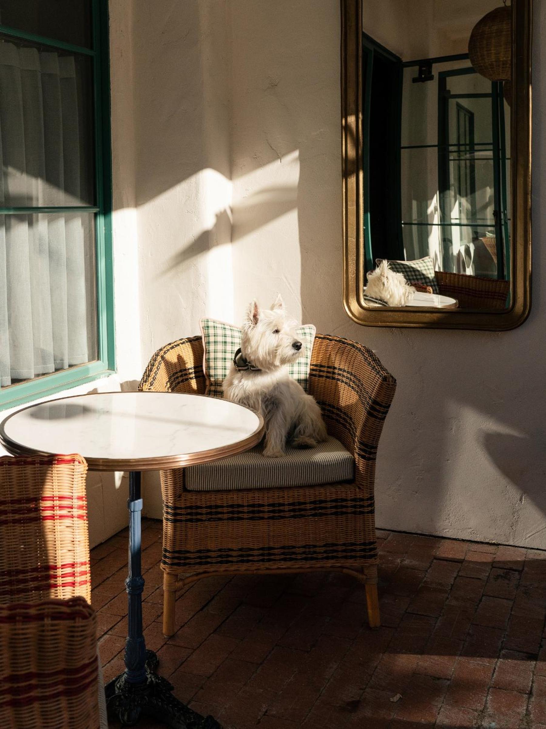 Palihouse Santa Barbara photo 55