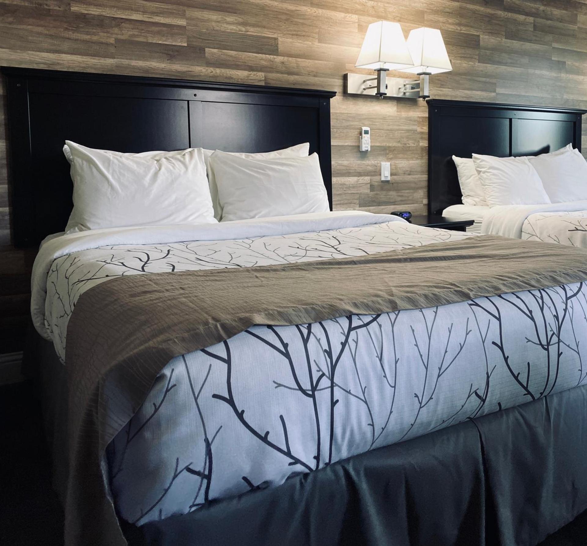 Salida Inn & Monarch Suites photo 4