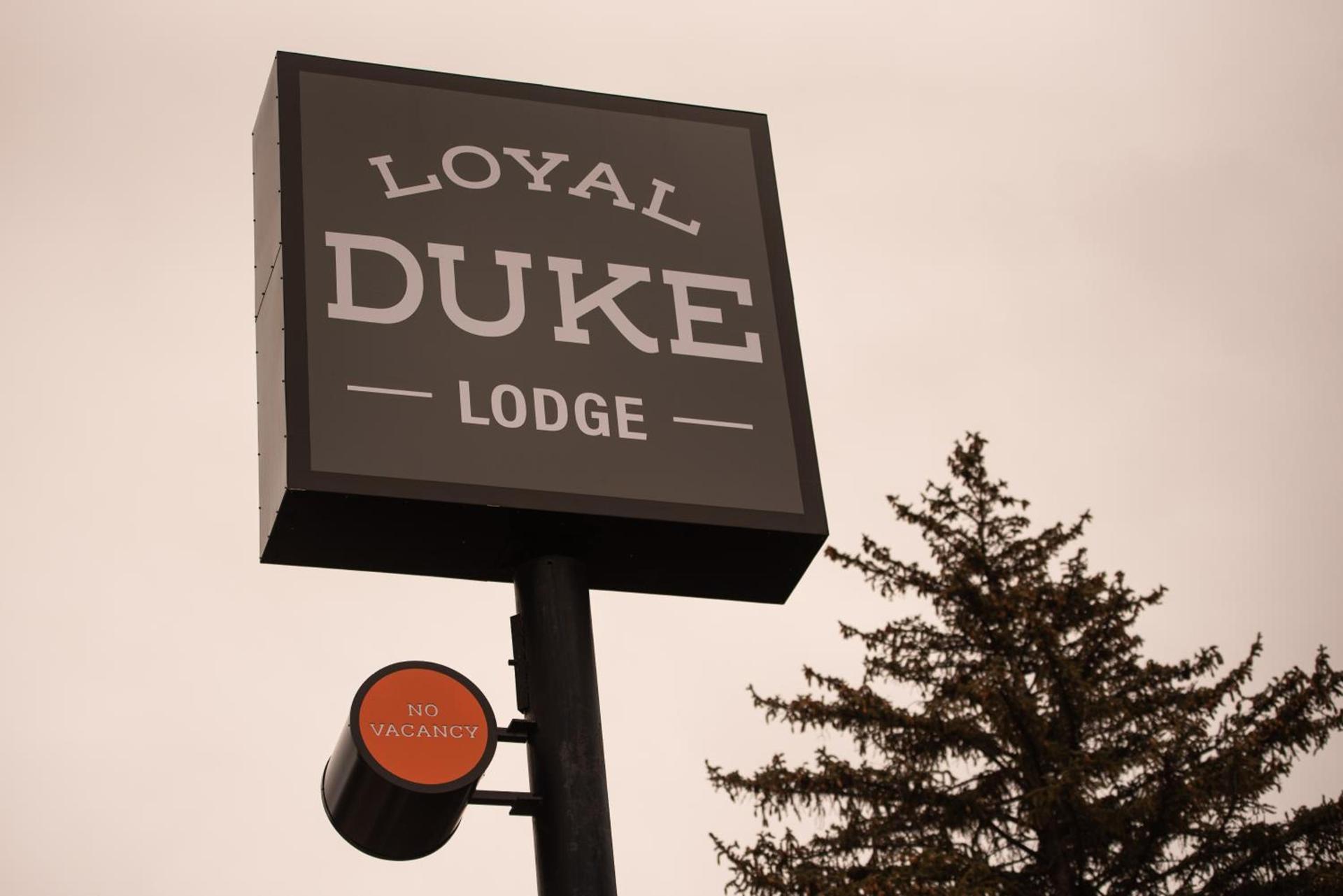 Loyal Duke Lodge photo 10