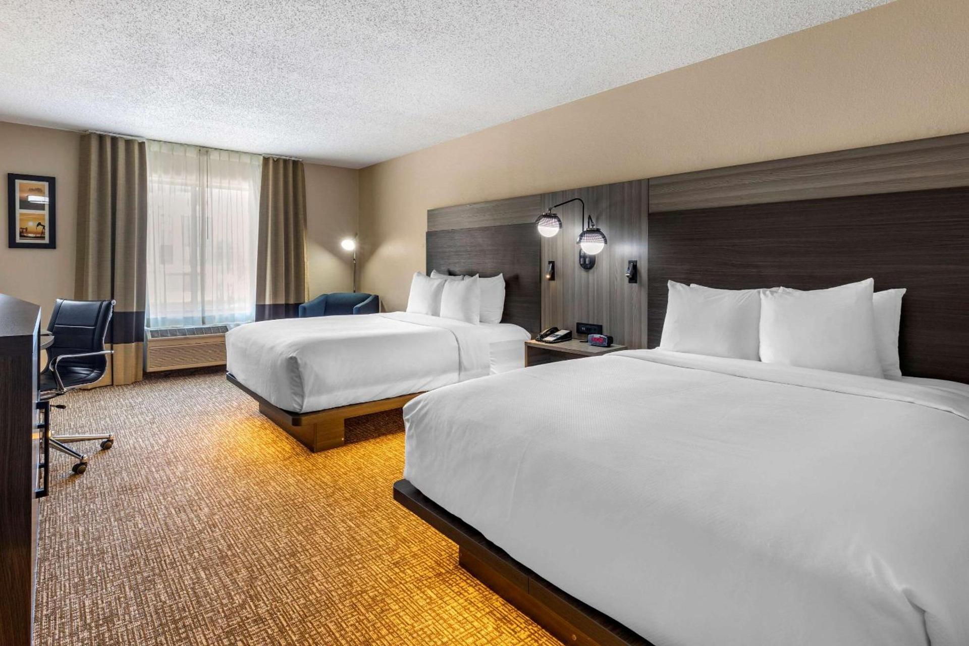 Comfort Inn & Suites North Dallas-Addison photo 5