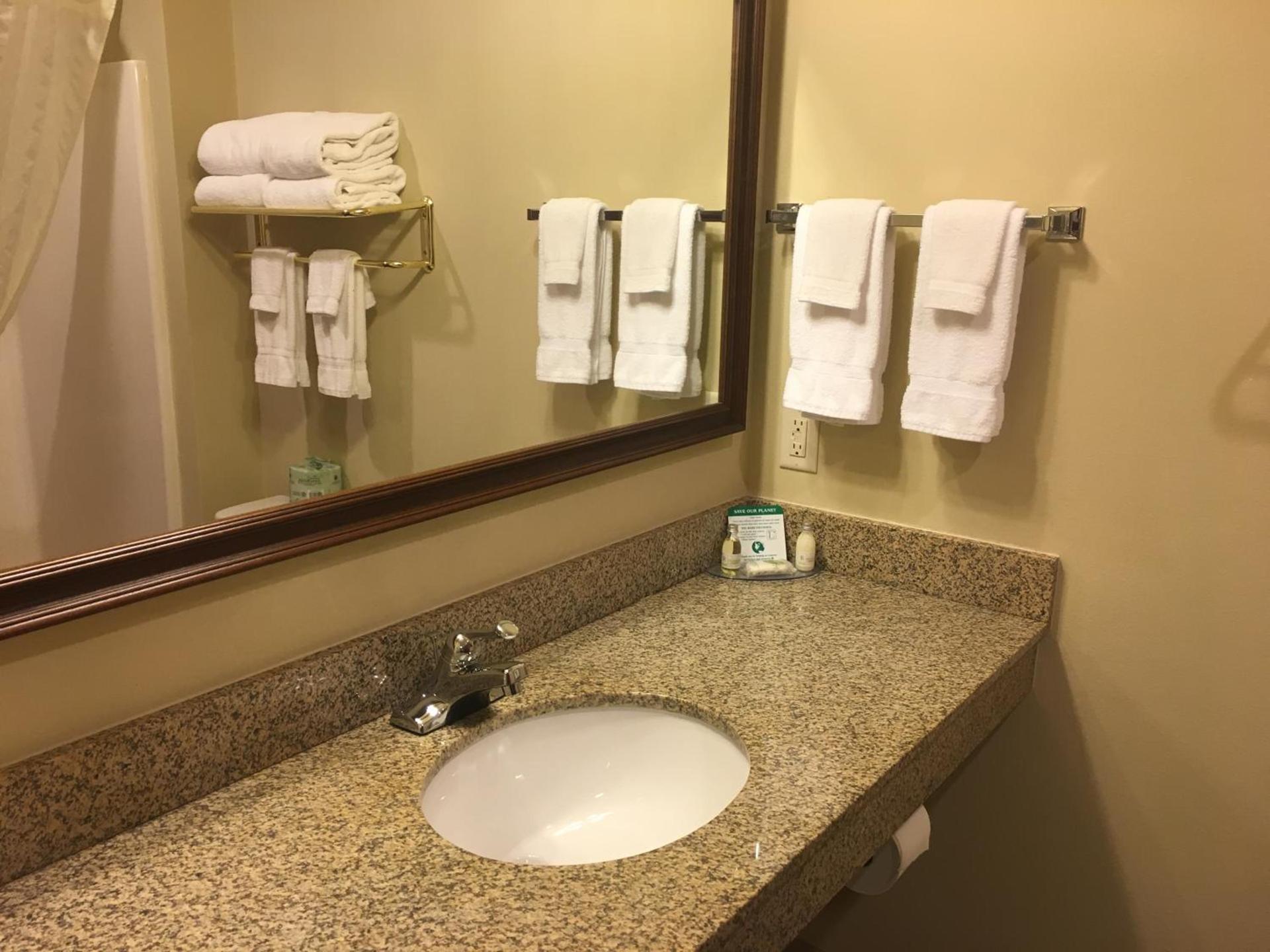 Cobblestone Inn & Suites - Durand photo 28