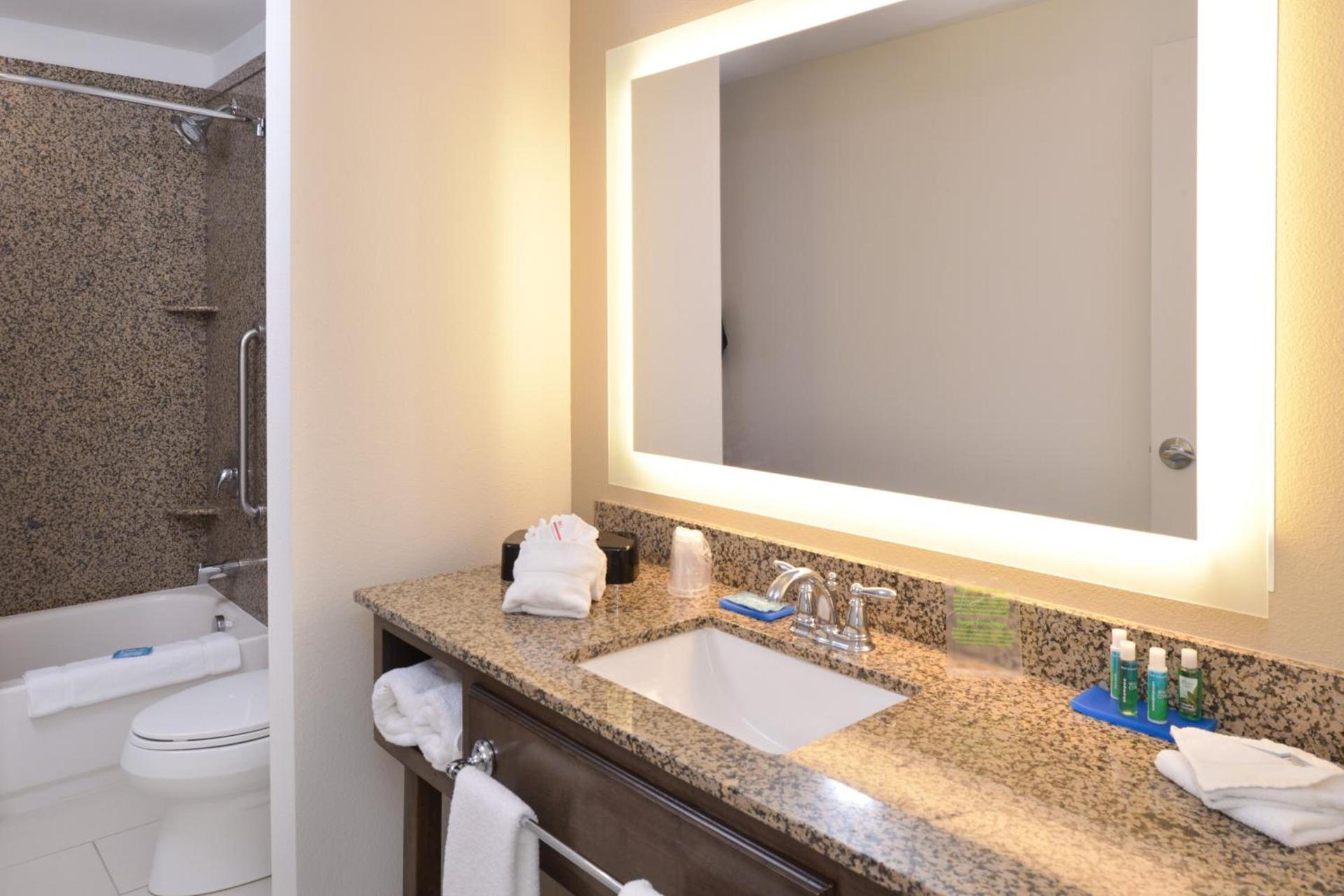 Holiday Inn Express Pocatello by IHG !UNDER RENOVATION! photo 66